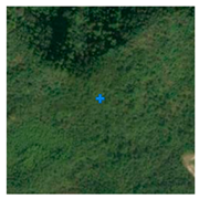 Remotesensing 13 03684 i006