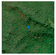 Remotesensing 13 03684 i008