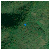 Remotesensing 13 03684 i009