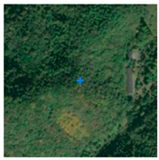 Remotesensing 13 03684 i010