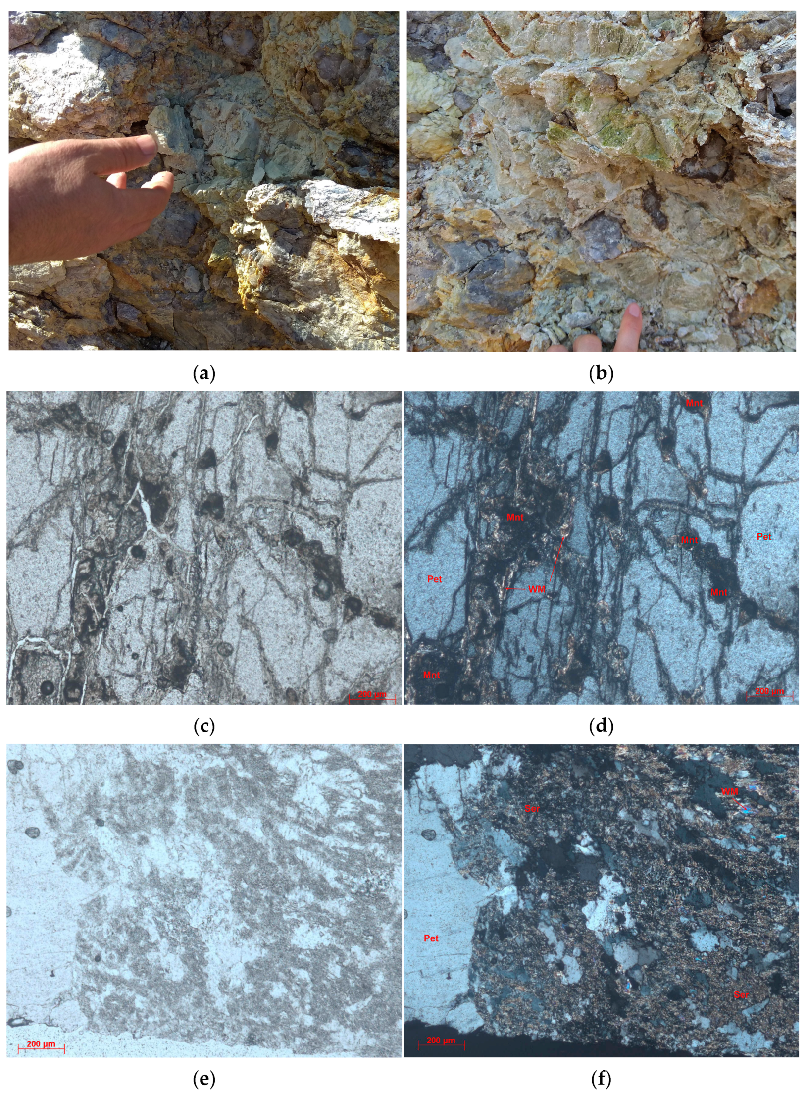 Remotesensing 13 03688 g005a