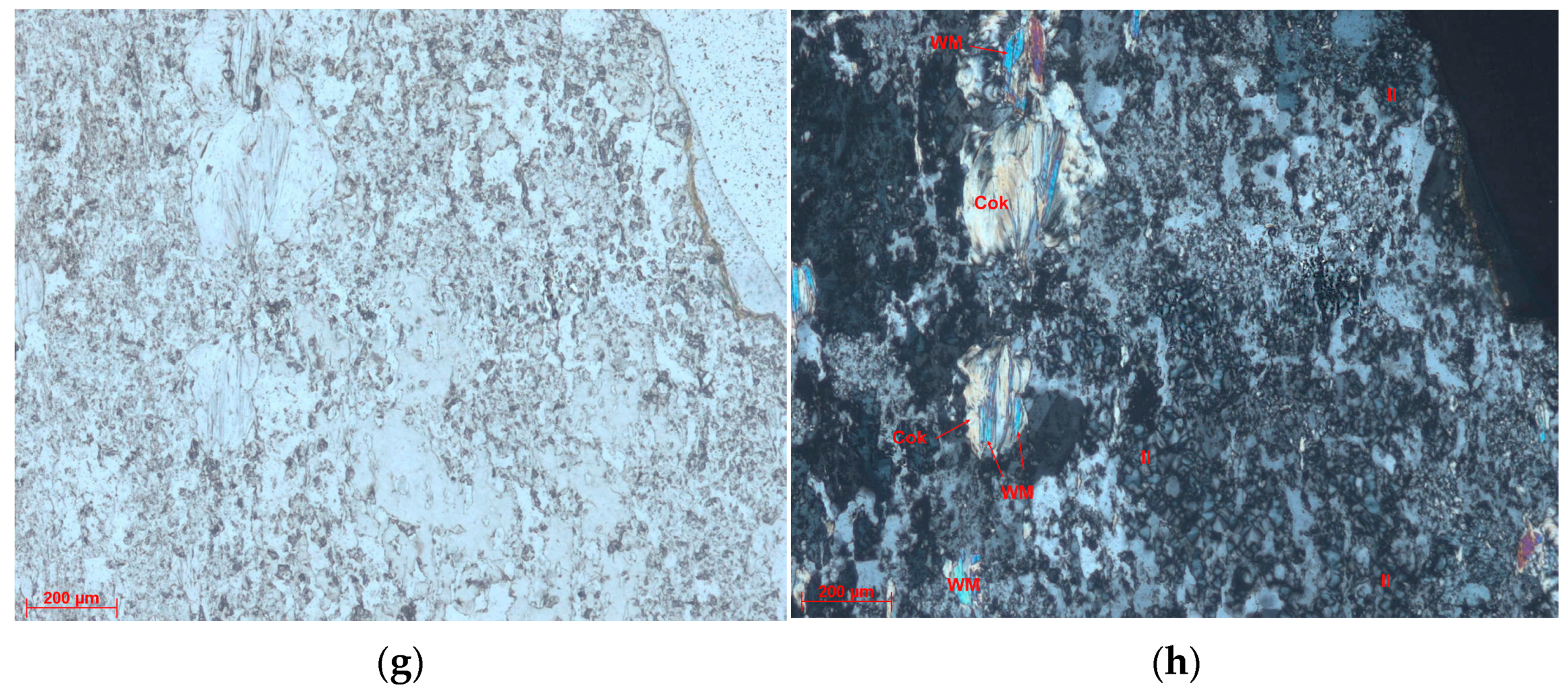 Remotesensing 13 03688 g005b