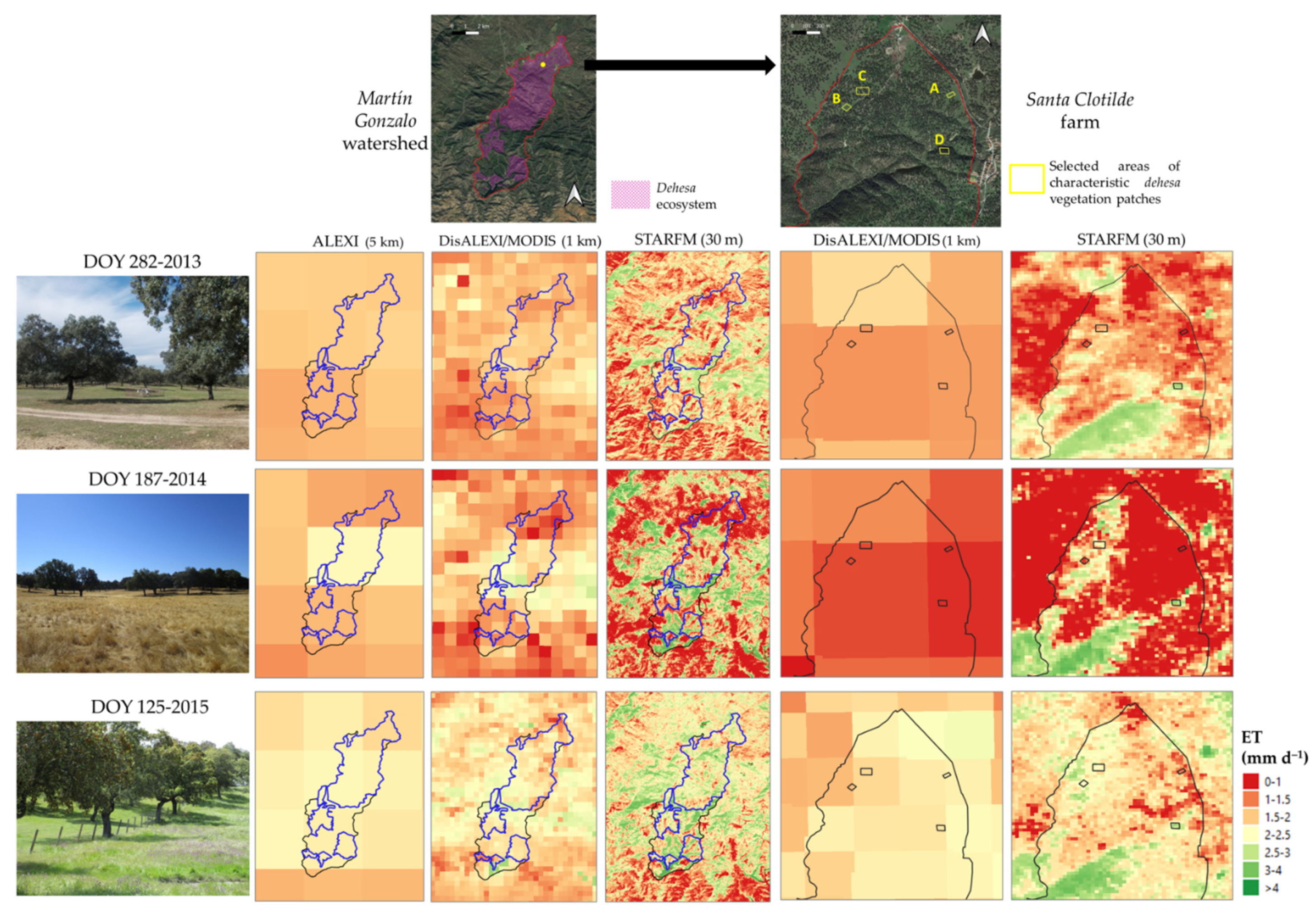 Remotesensing 13 03701 g009