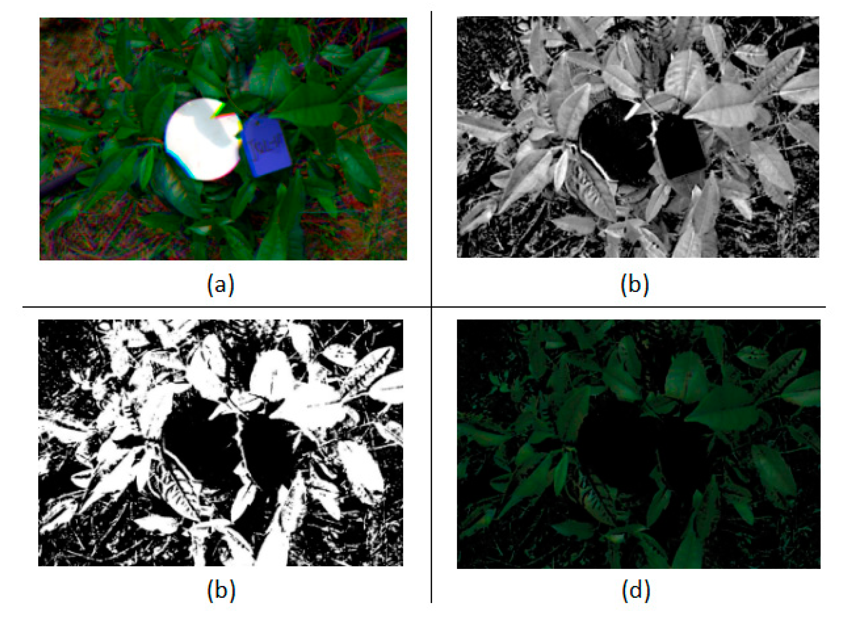 Remotesensing 13 03719 g005