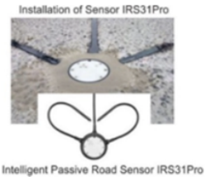 Remotesensing 13 03729 i025