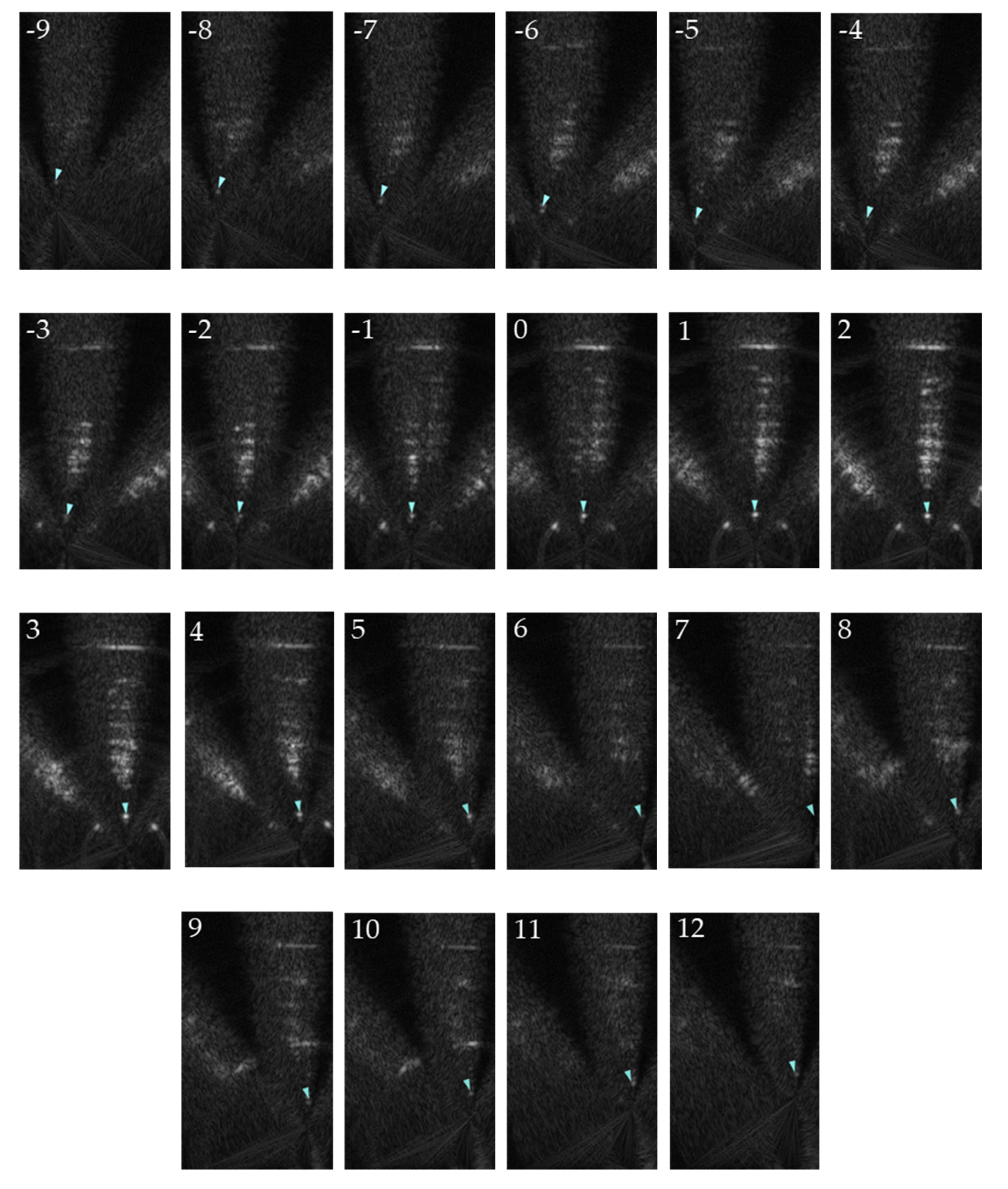 Remotesensing 13 03733 g003