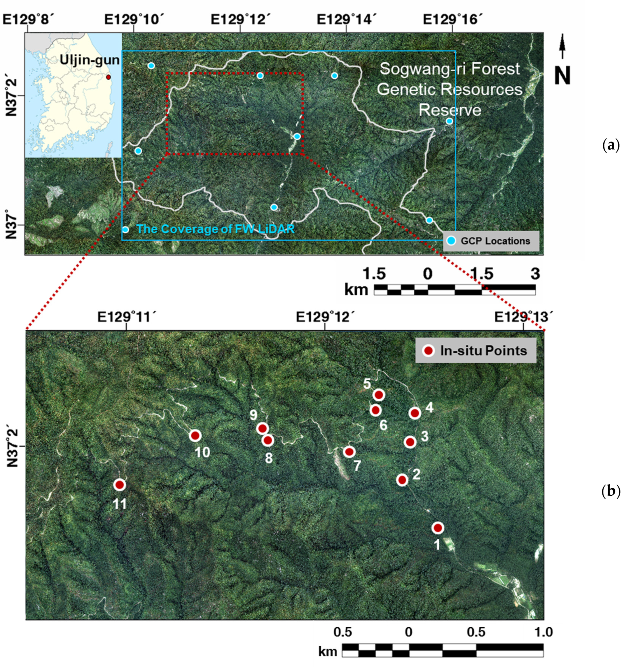 Remotesensing 13 03736 g001