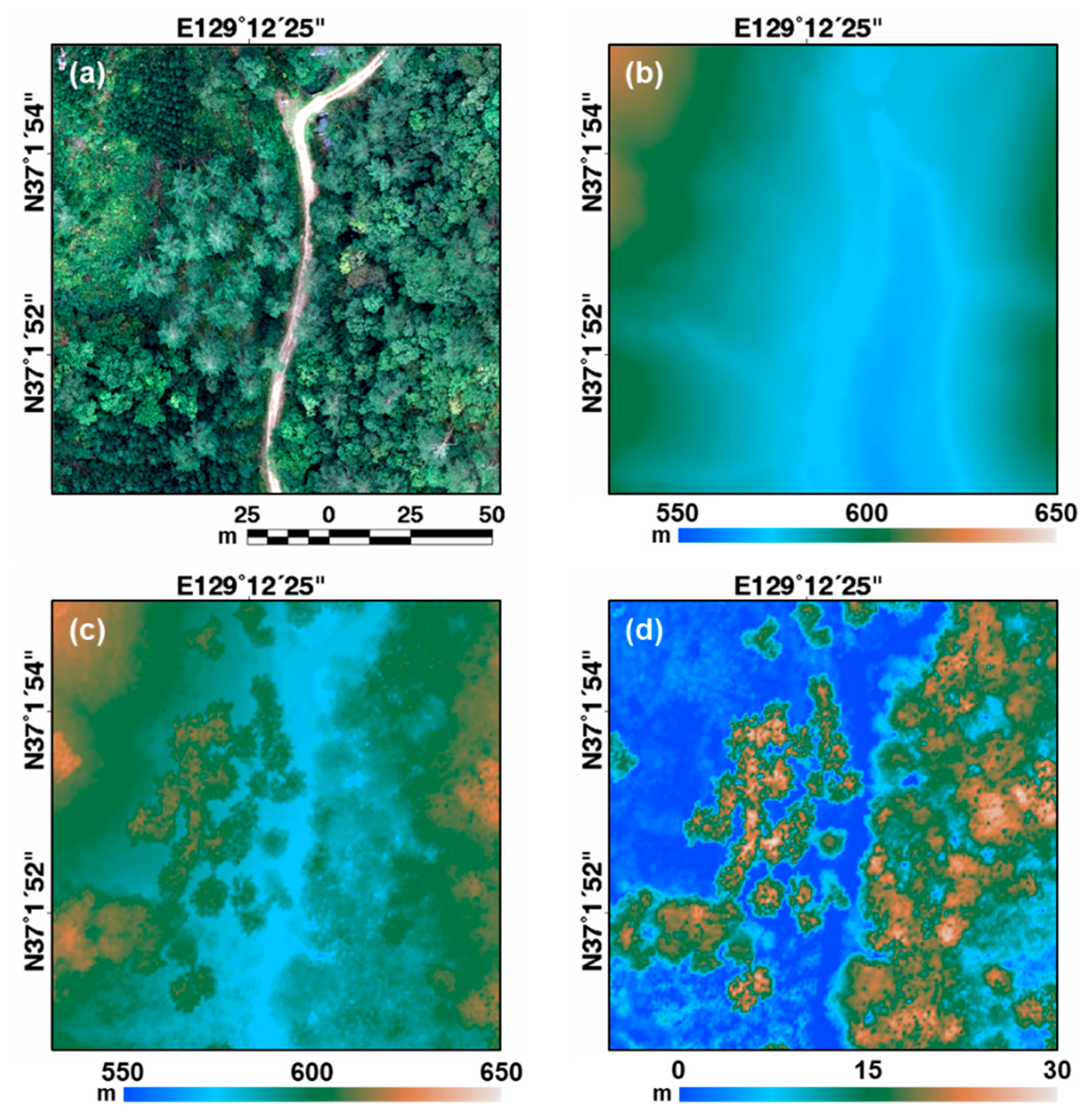 Remotesensing 13 03736 g004