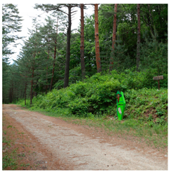 Remotesensing 13 03736 i002