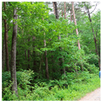 Remotesensing 13 03736 i017