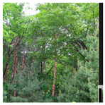 Remotesensing 13 03736 i022