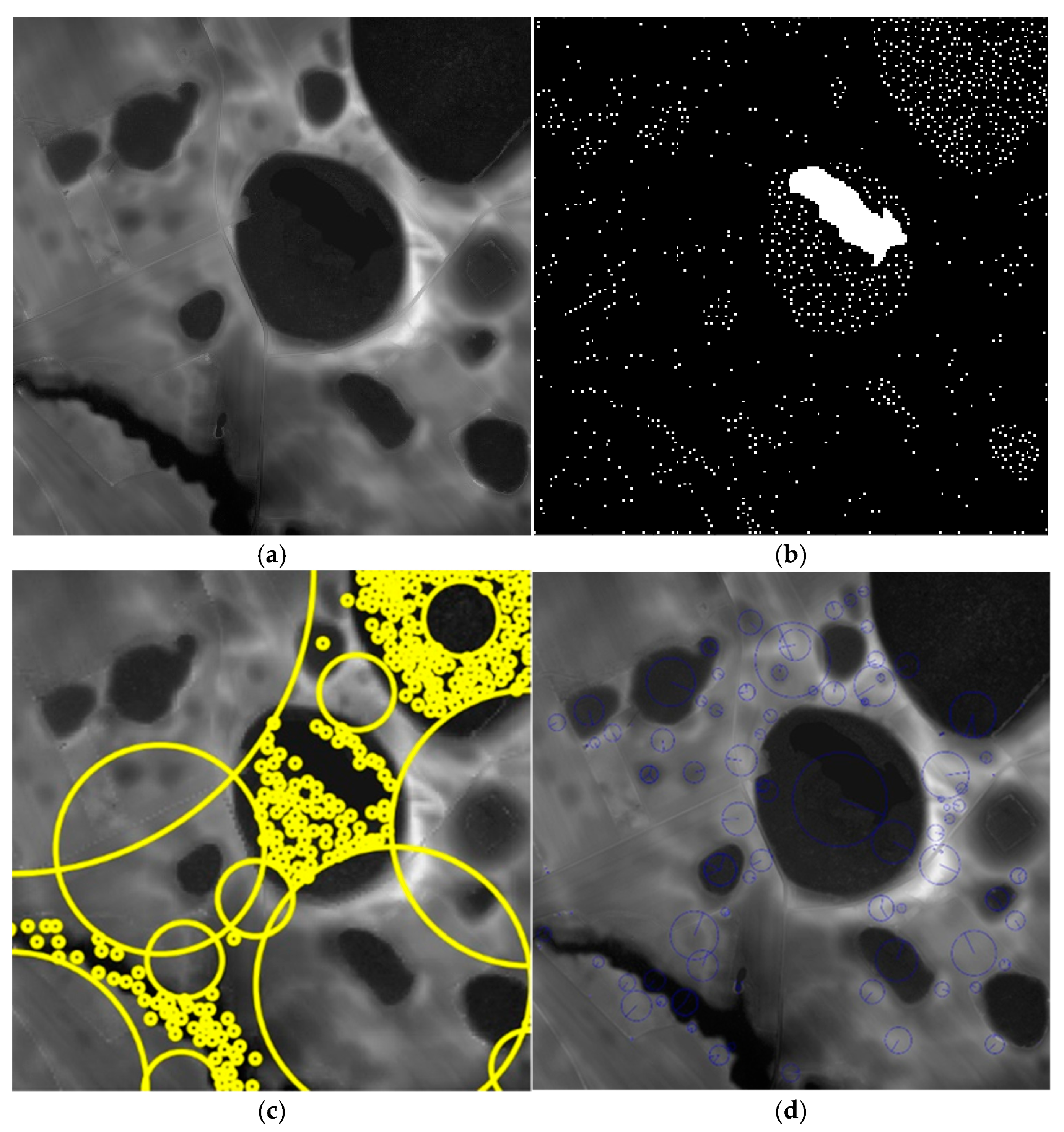 Remotesensing 13 03770 g003