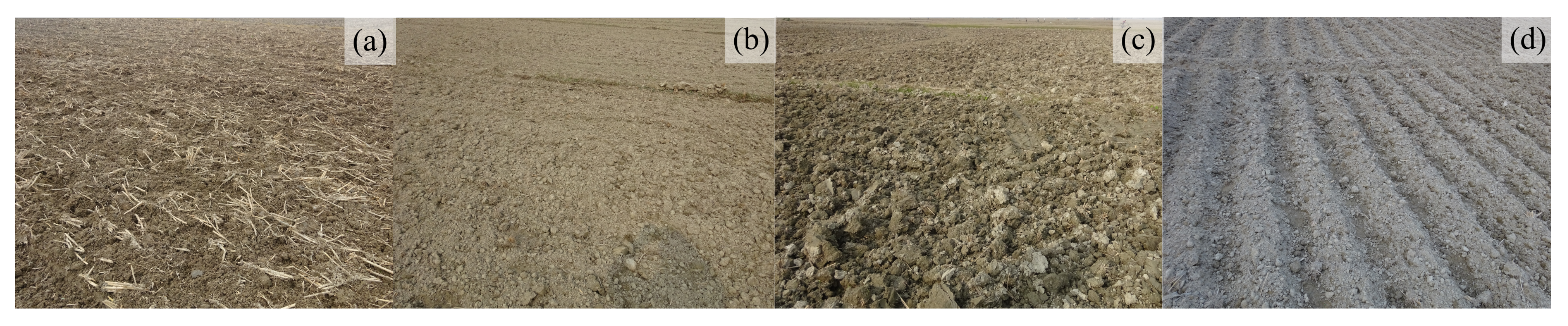 Remotesensing 13 03794 g004