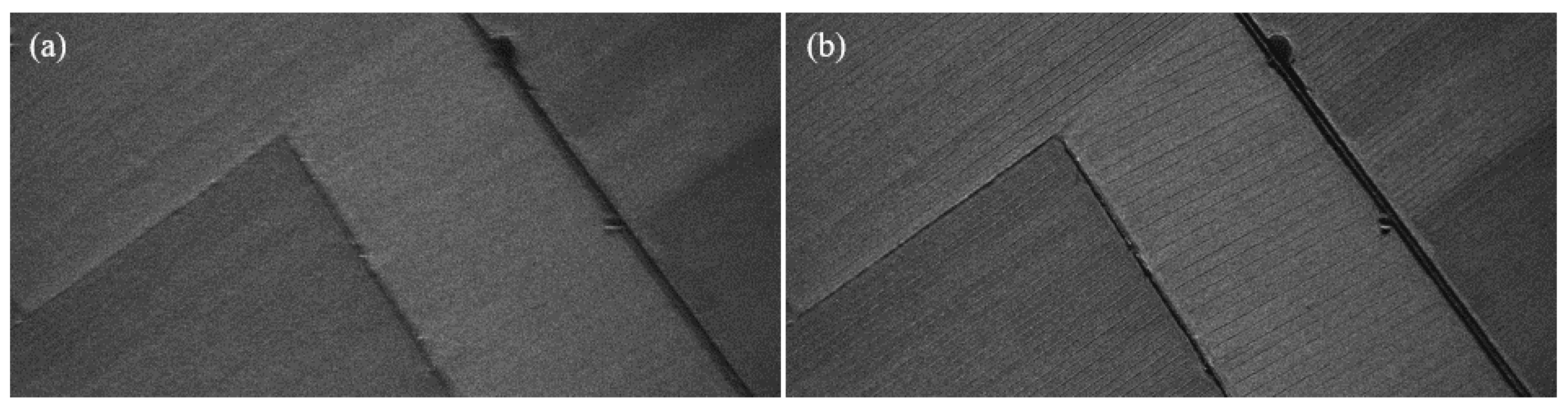 Remotesensing 13 03872 g001