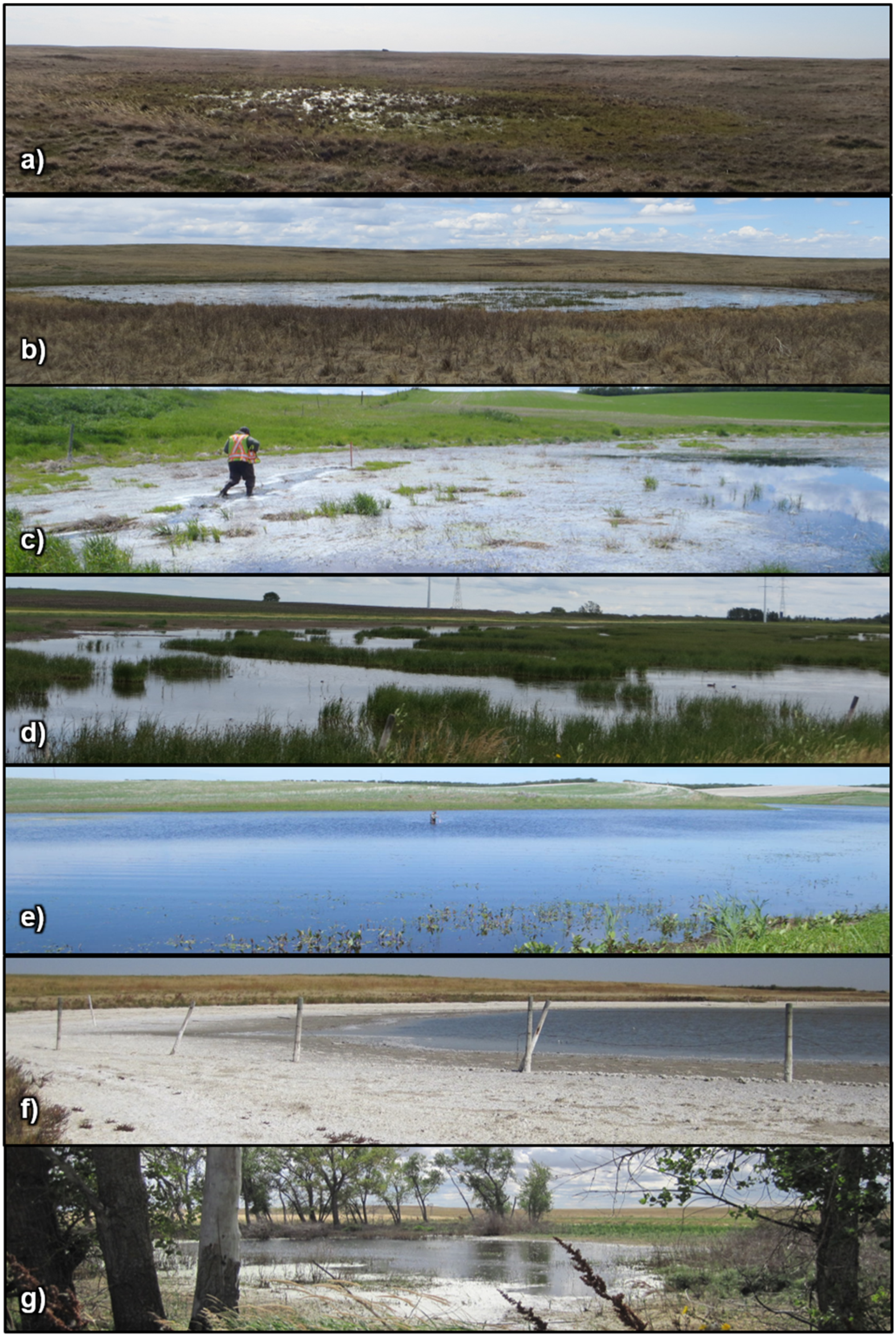 Remotesensing 13 03878 g003