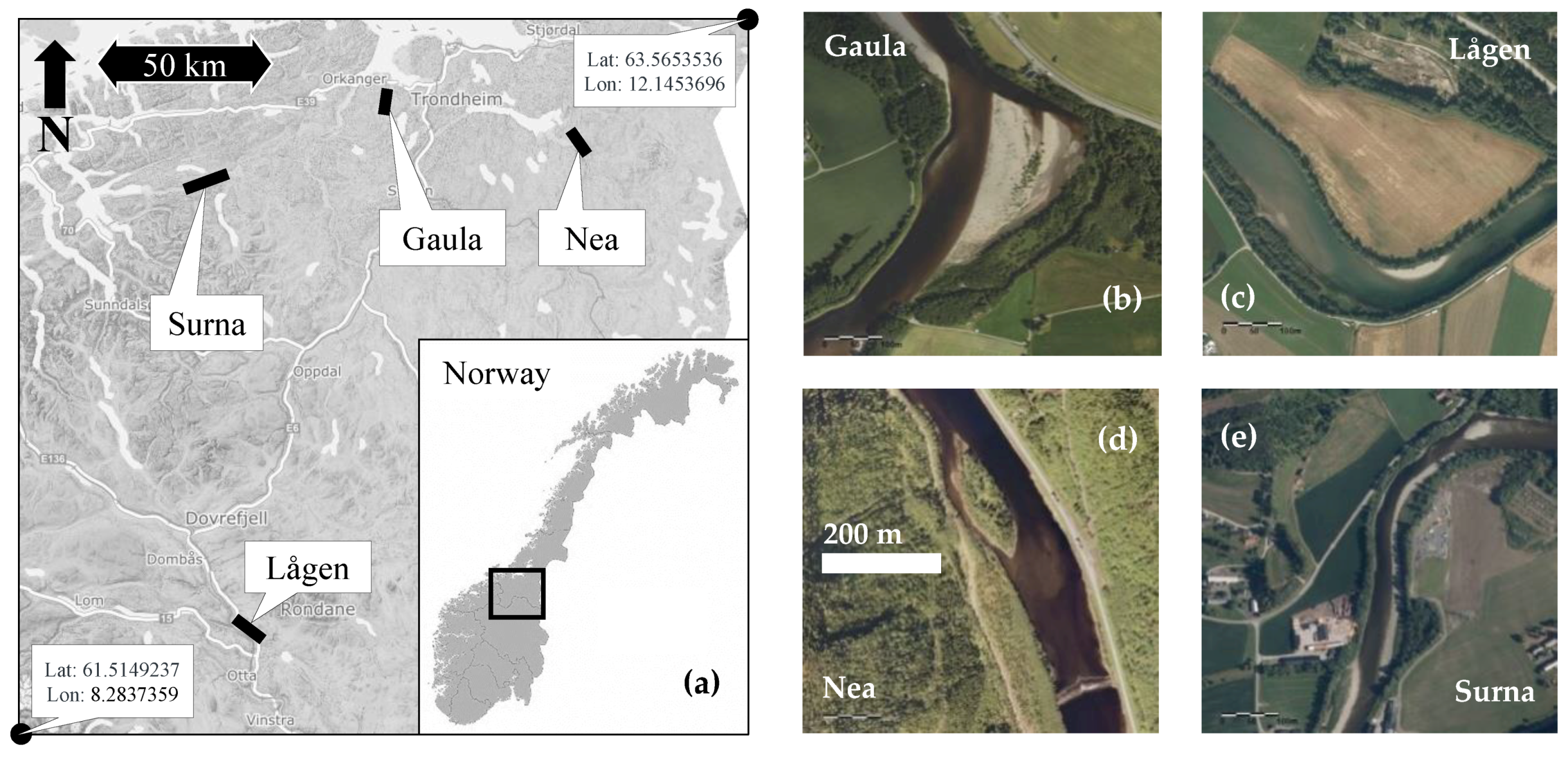 Remotesensing 13 03897 g001