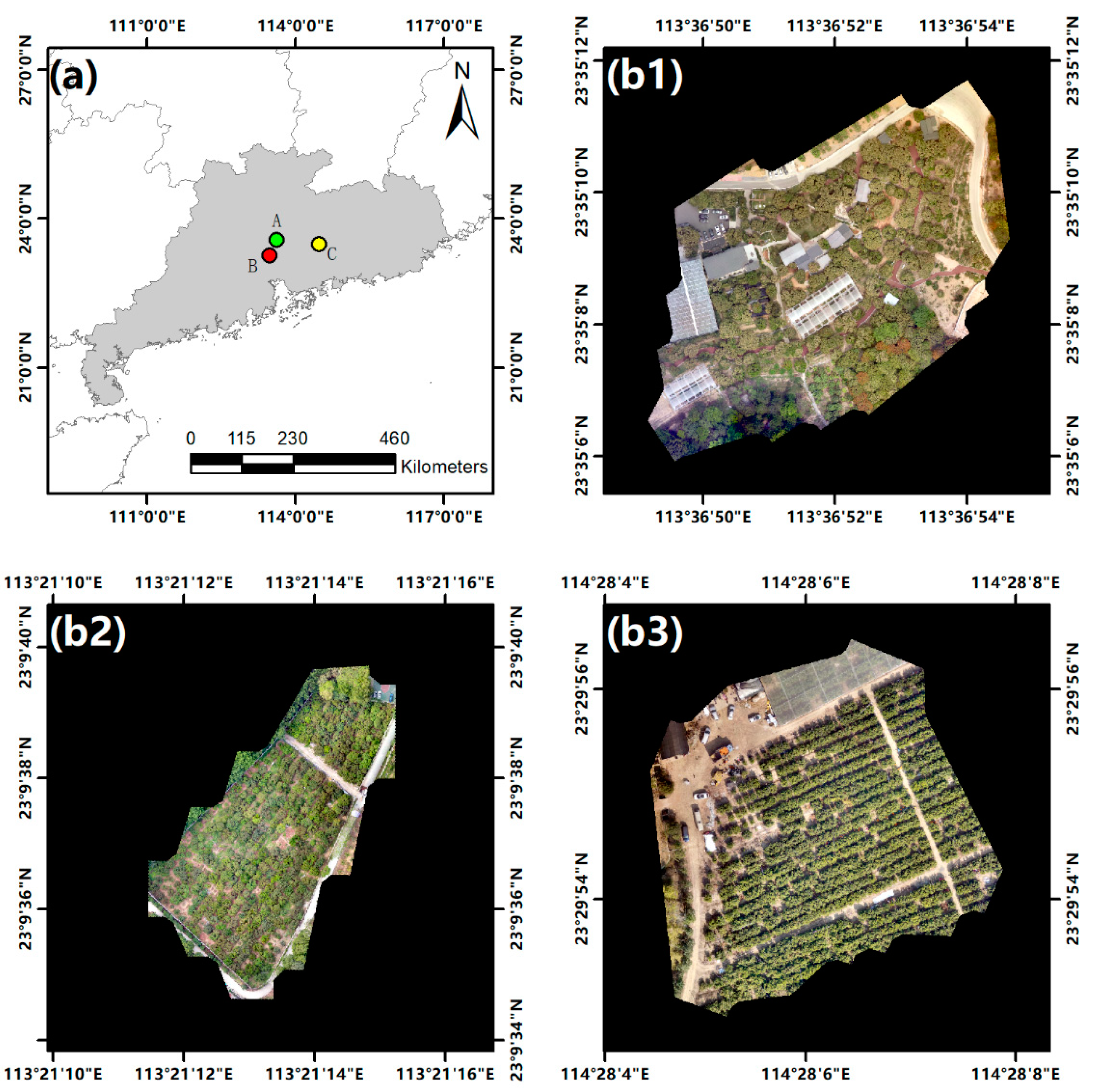 Remotesensing 13 03919 g001