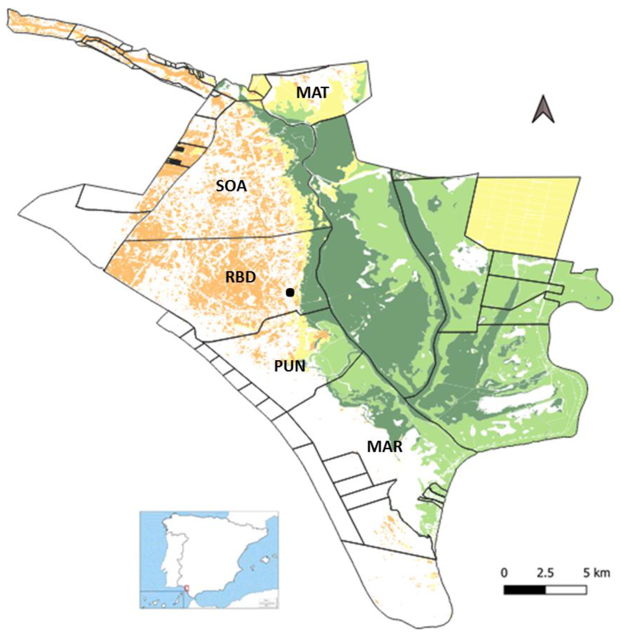 Remotesensing 13 03920 g001 Remotesensing 13 03920 g001