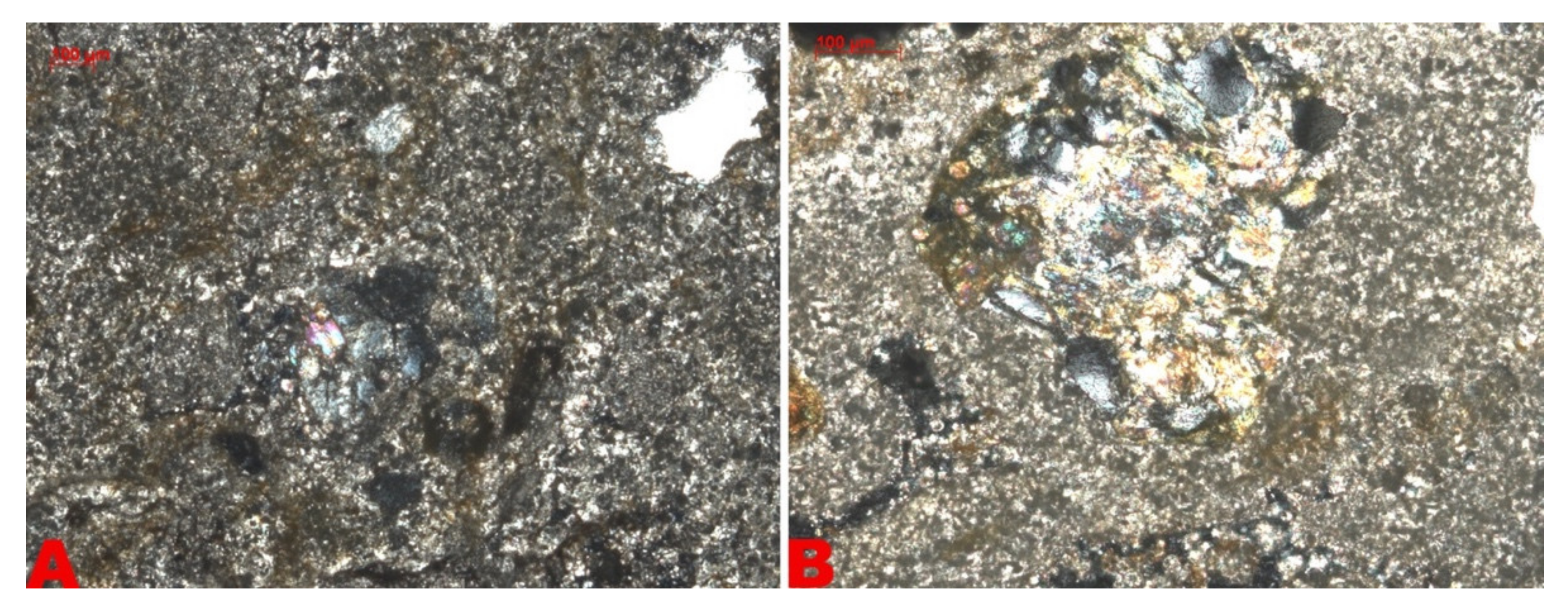 Remotesensing 13 03925 g006