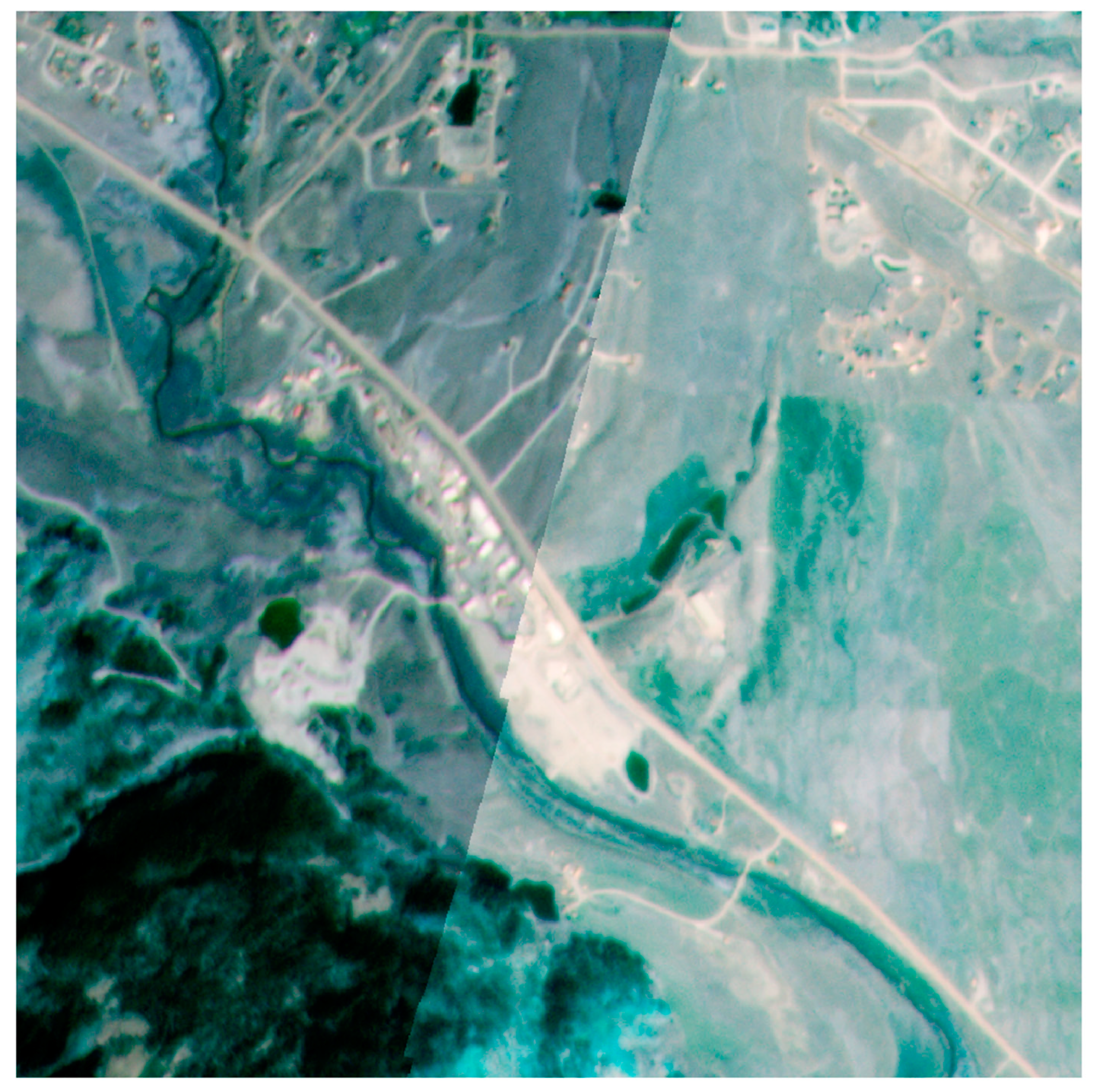 Remotesensing 13 03930 g001