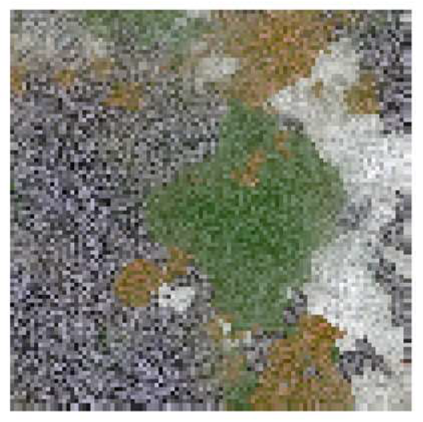 Remotesensing 13 03941 g005