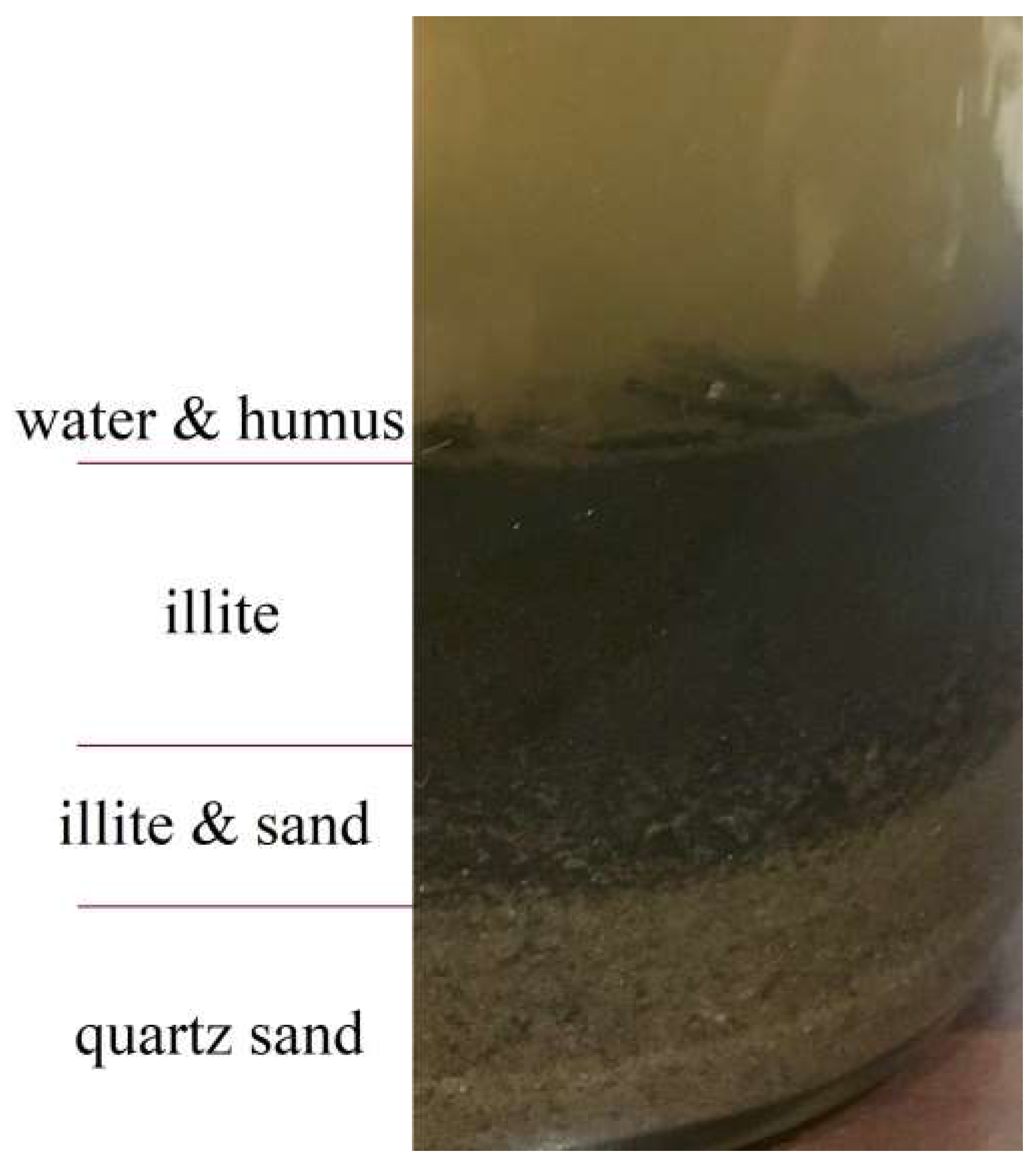 Remotesensing 13 03946 g006