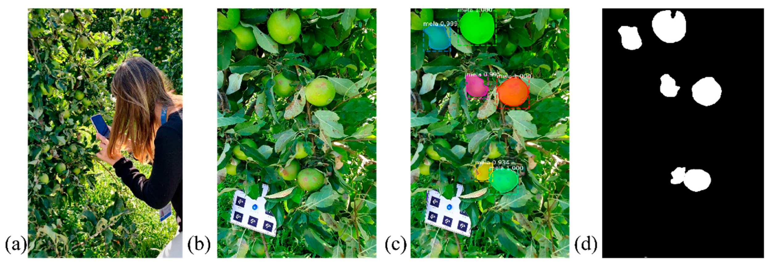 Remotesensing 13 03960 g002