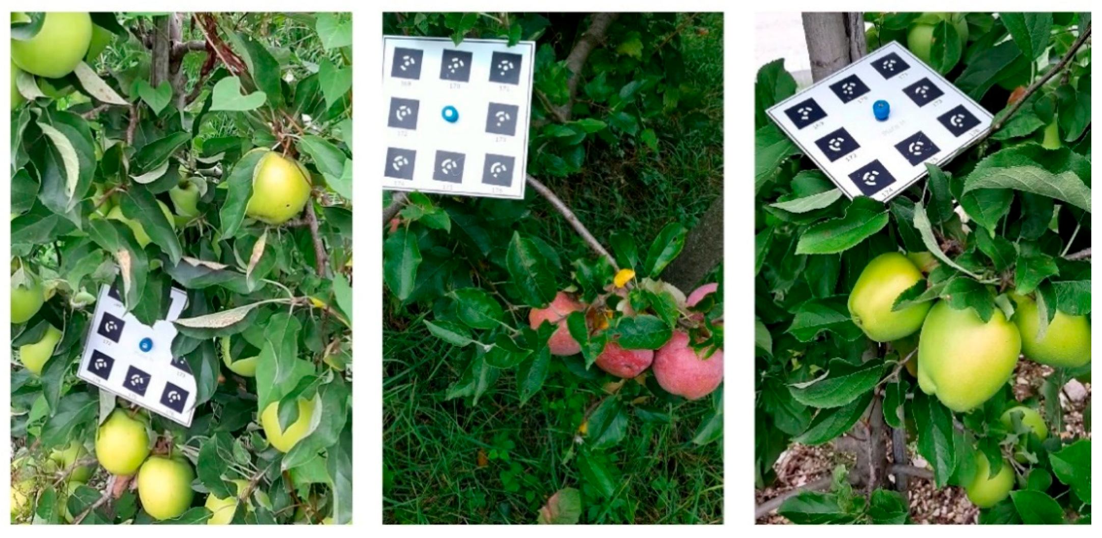 Remotesensing 13 03960 g013