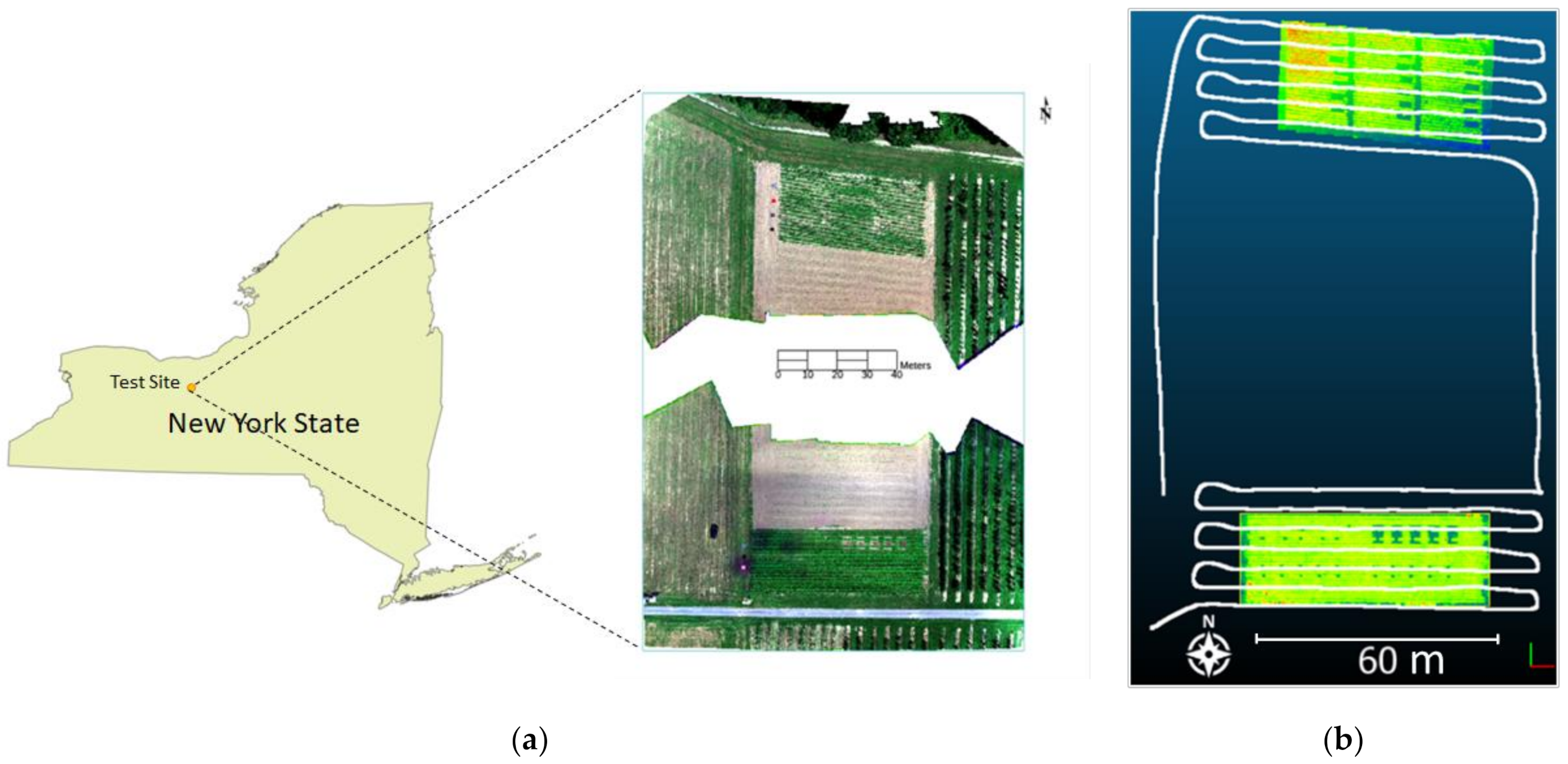 Remotesensing 13 03975 g001