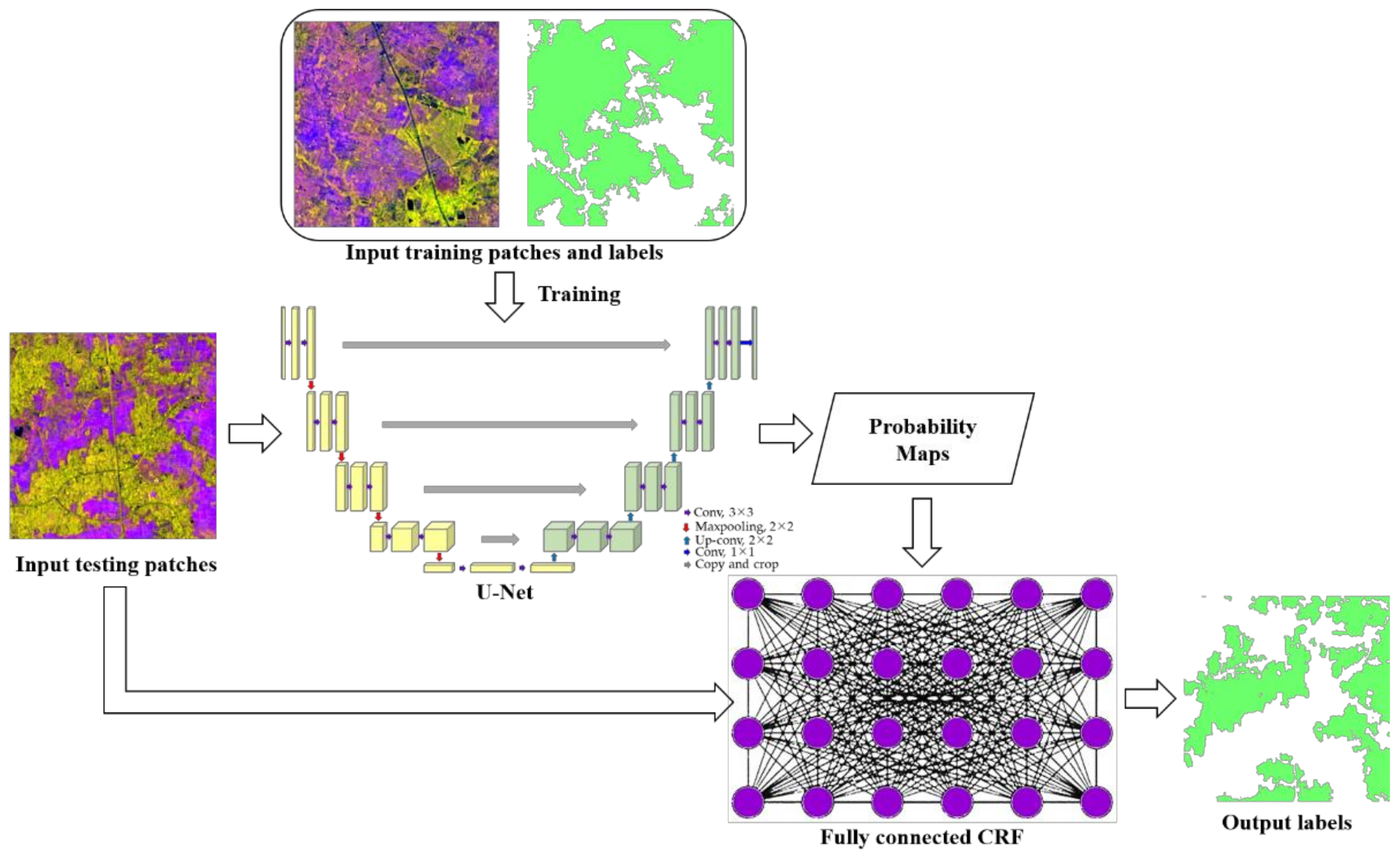 Remotesensing 13 03994 g012