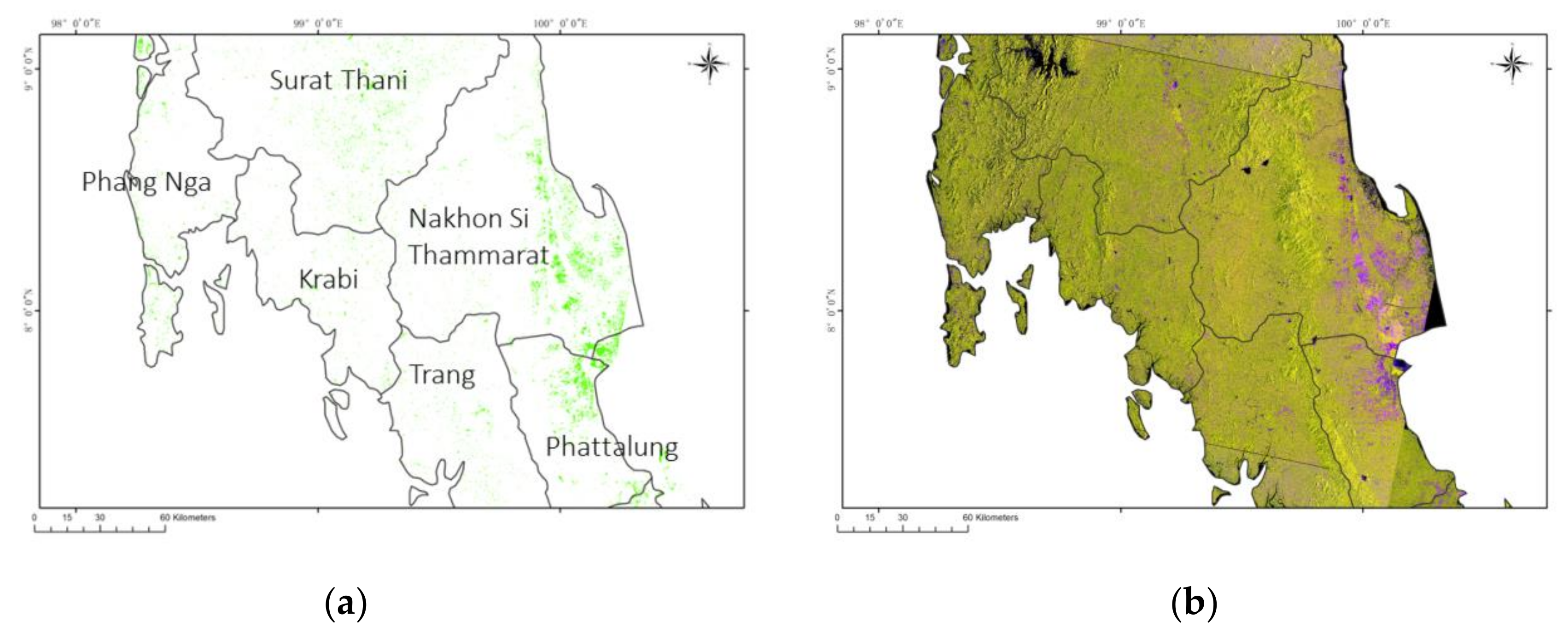 Remotesensing 13 03994 g020