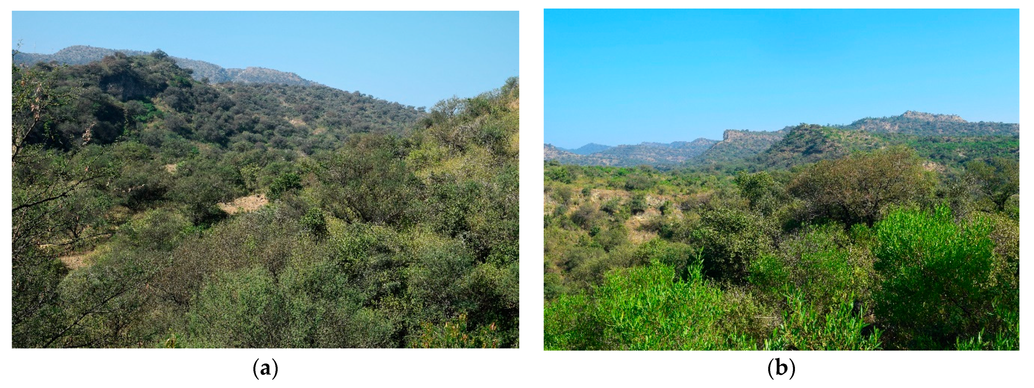 Remotesensing 13 04009 g002