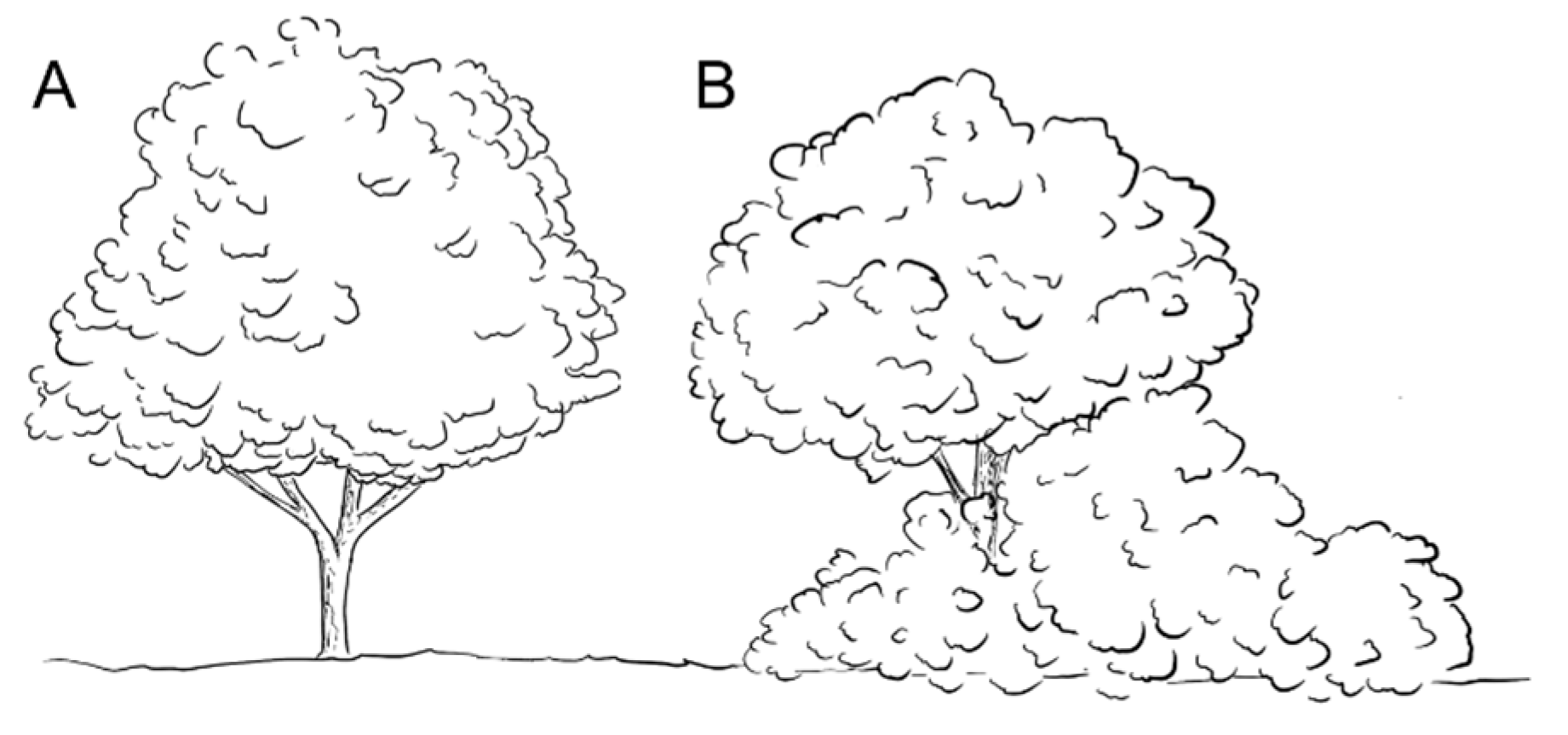 Remotesensing 13 04031 g001