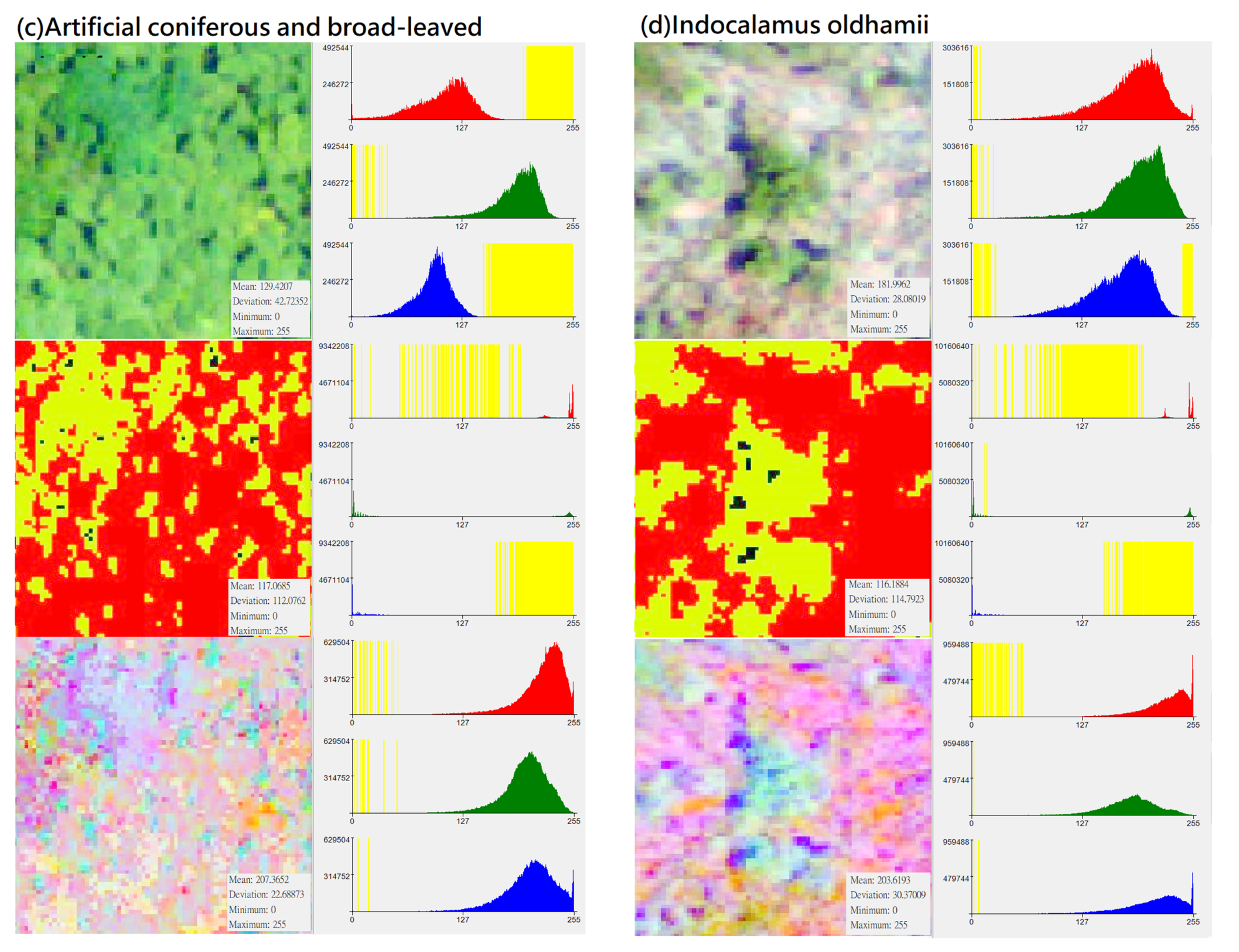 Remotesensing 13 04036 g003b