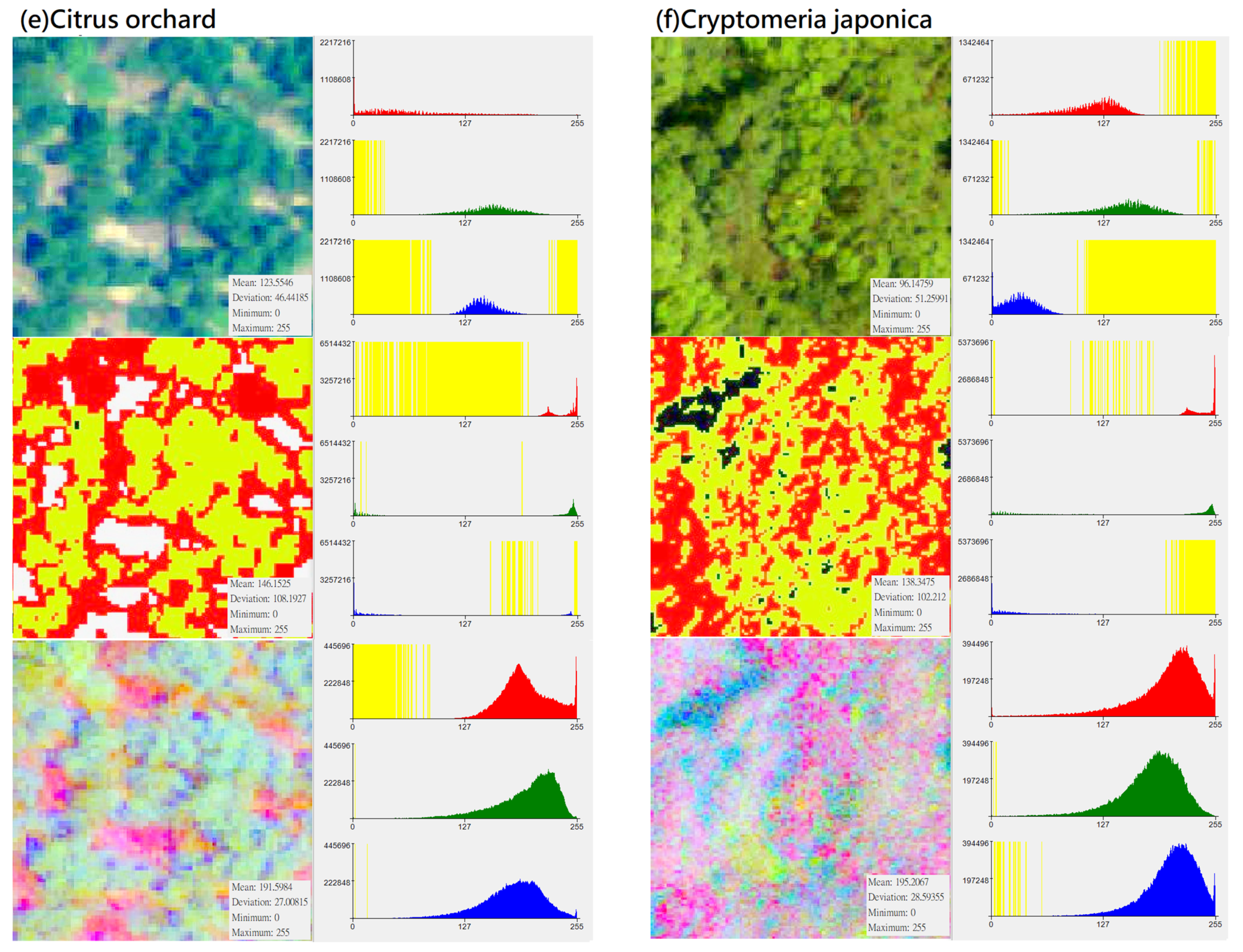 Remotesensing 13 04036 g003c
