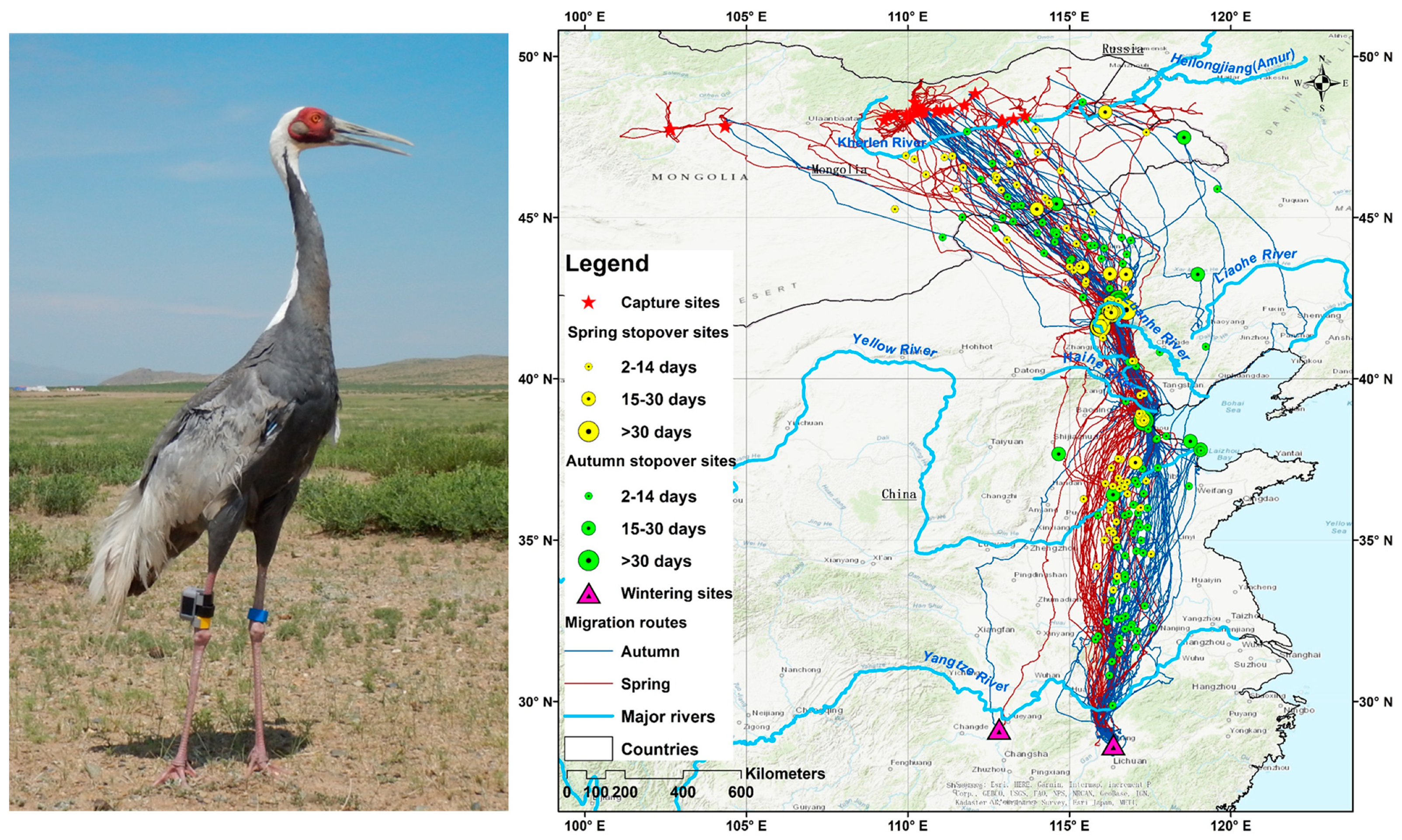 Remotesensing 13 04049 g002