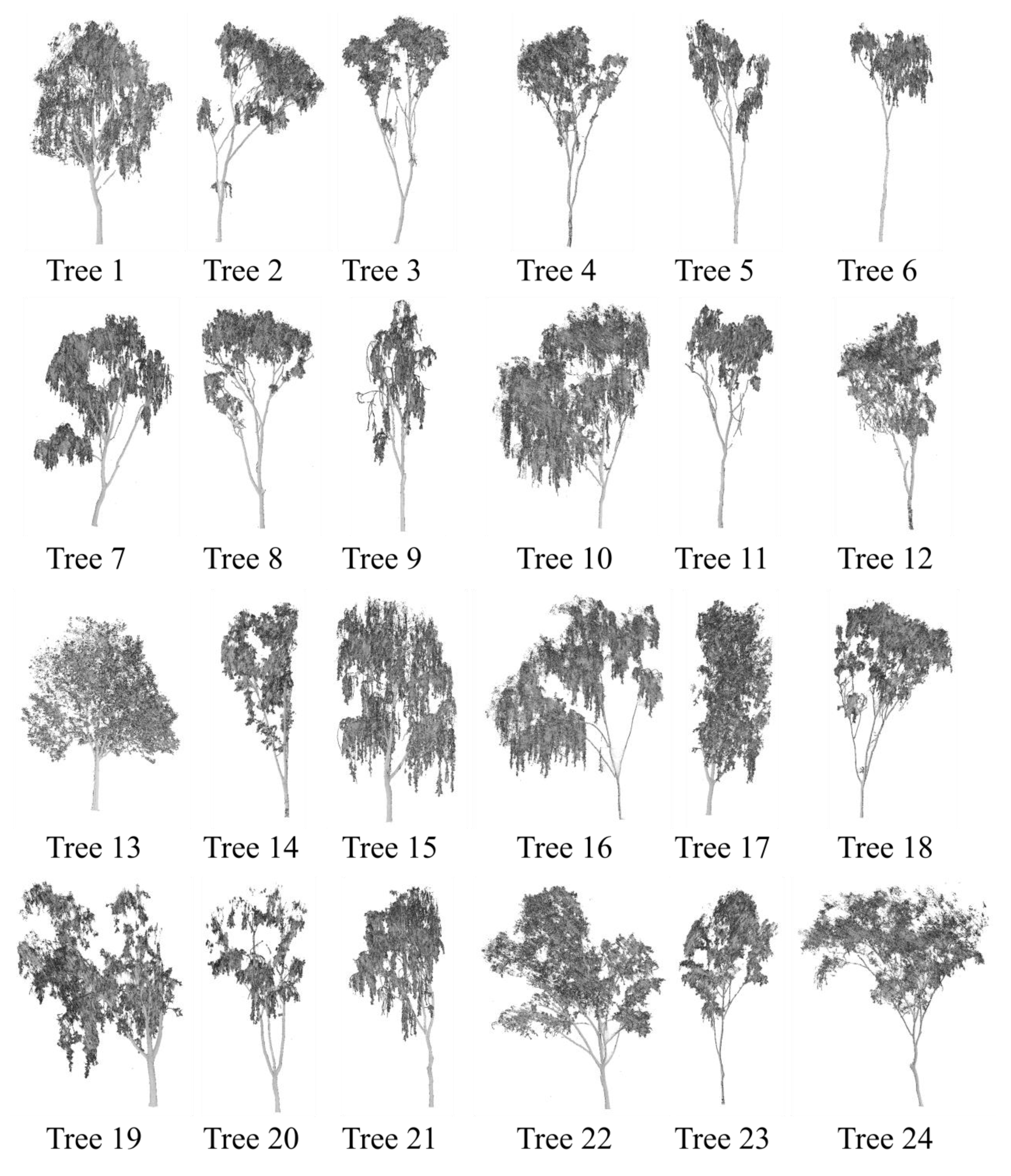 Remotesensing 13 04050 g001