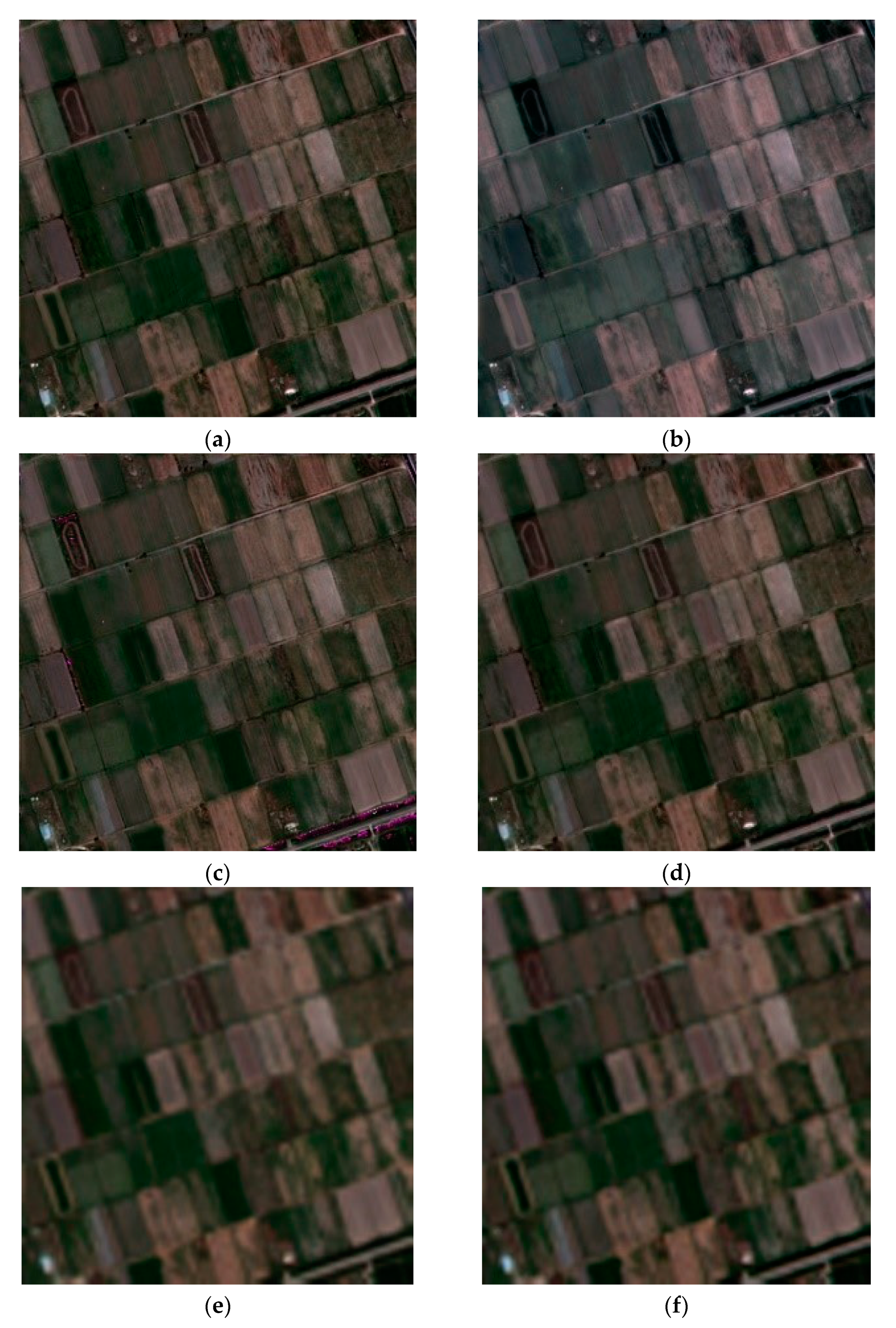 Remotesensing 13 04062 g006a