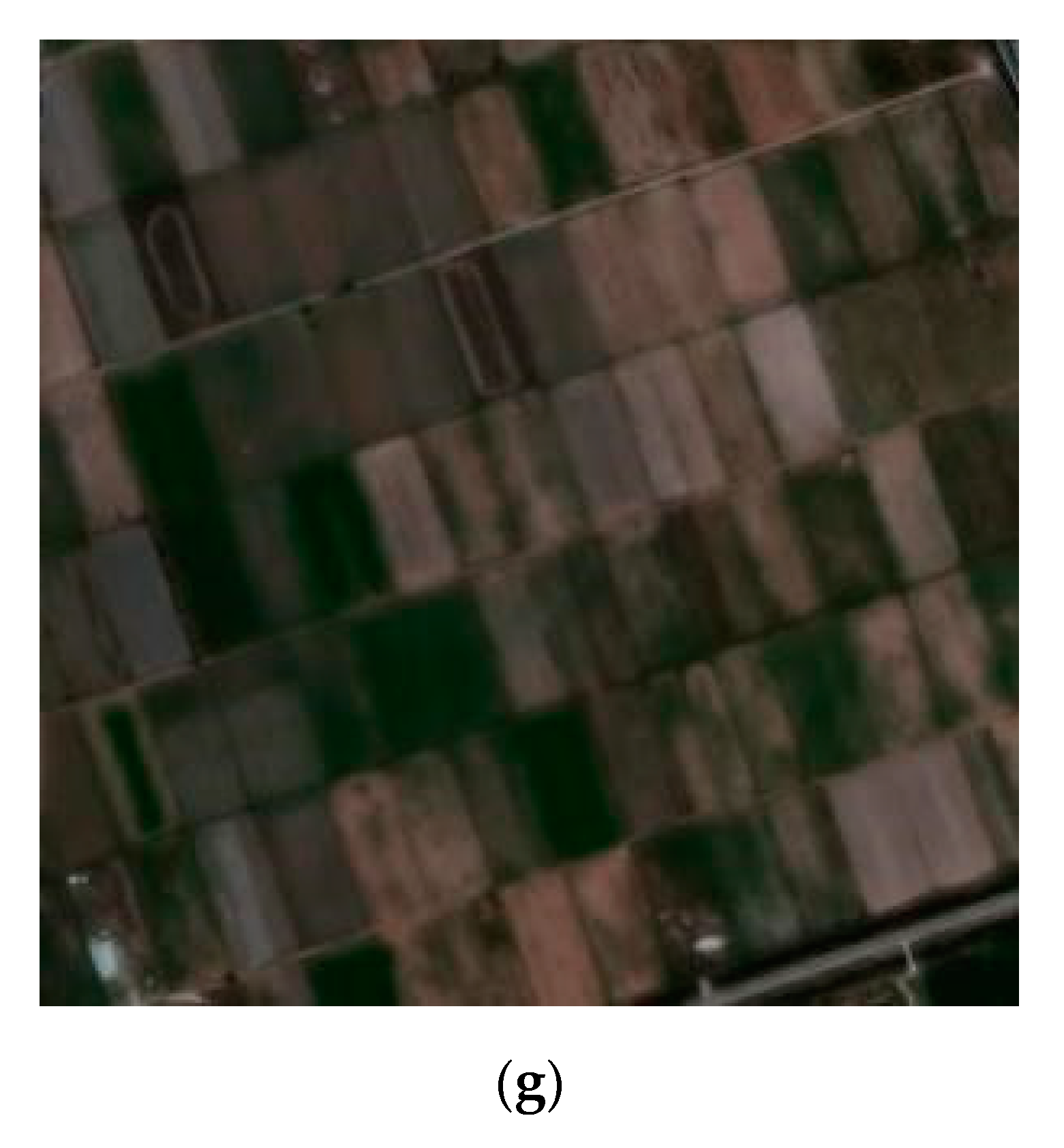 Remotesensing 13 04062 g006b
