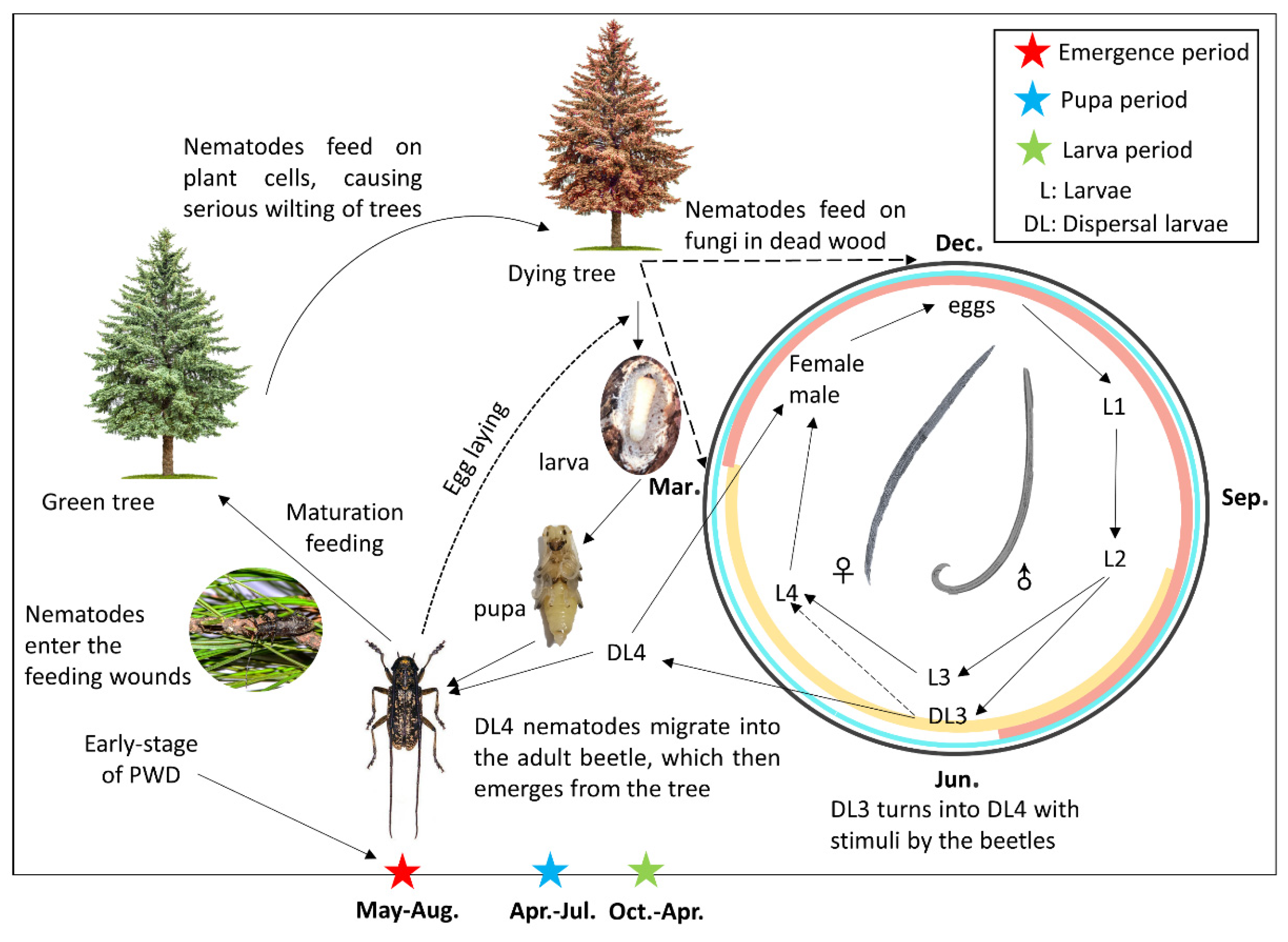Remotesensing 13 04065 g002