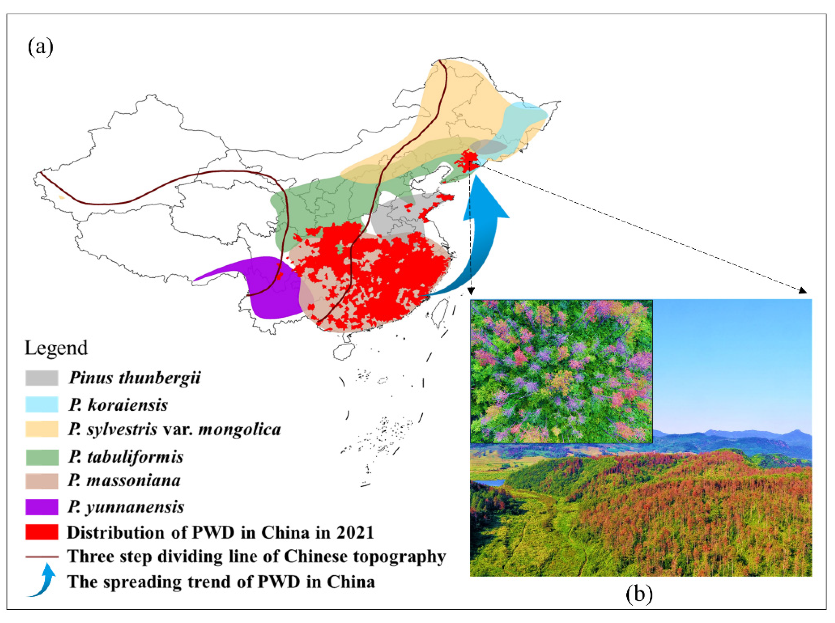 Remotesensing 13 04065 g003