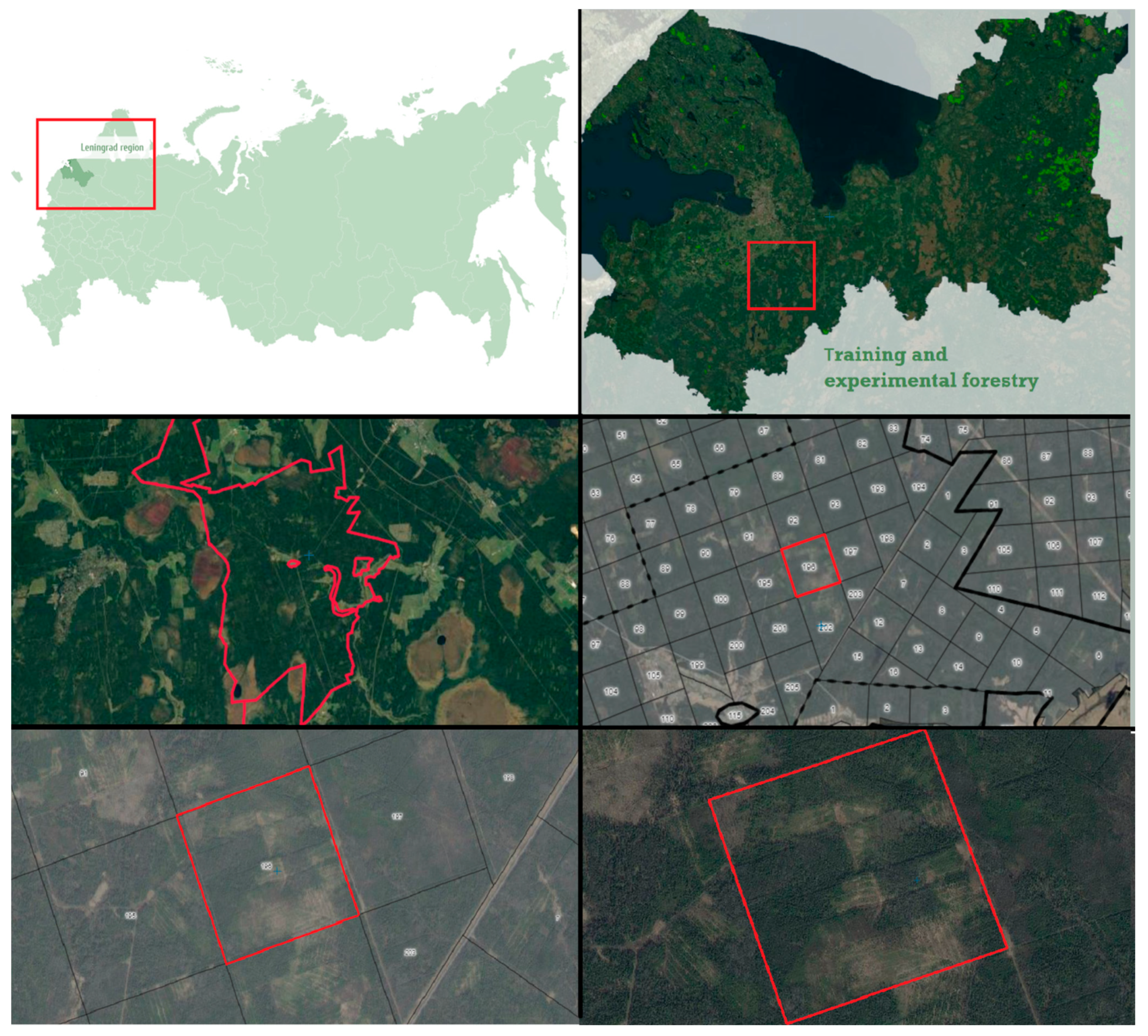 Remotesensing 13 04092 g001