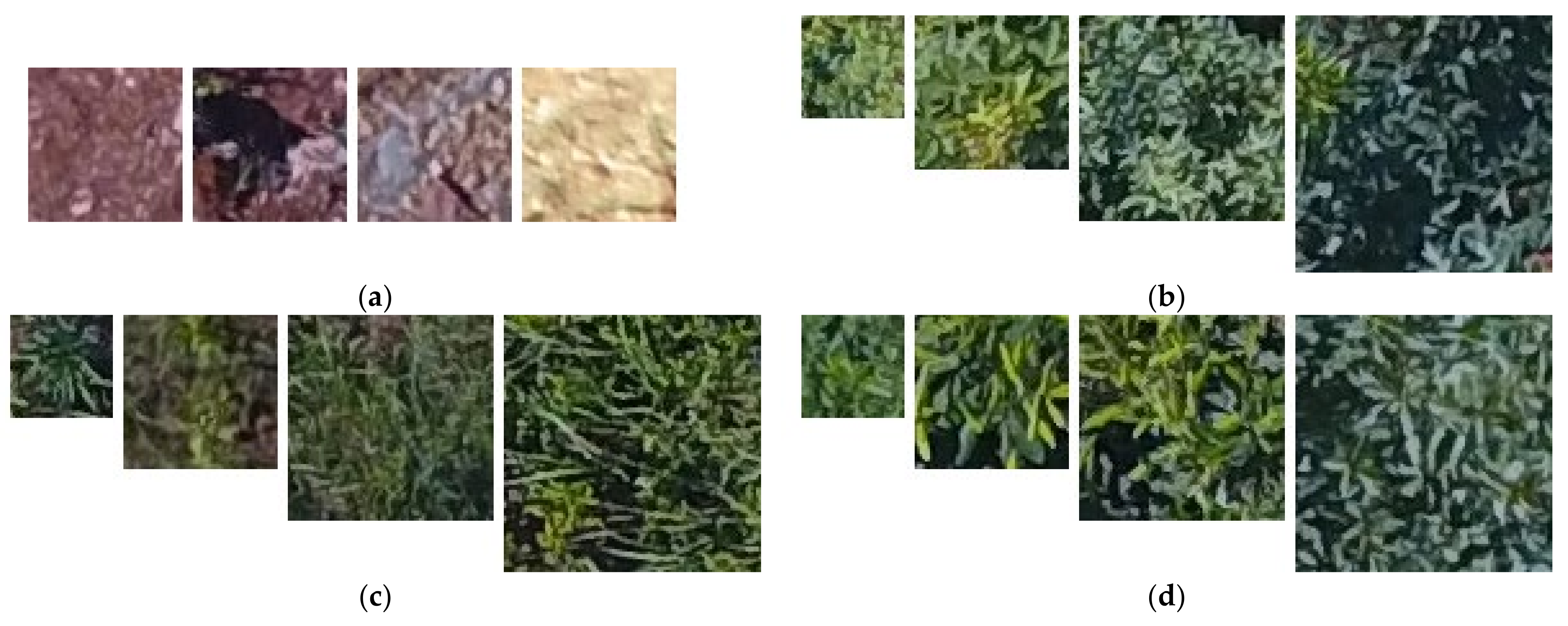 Remotesensing 13 04122 g002