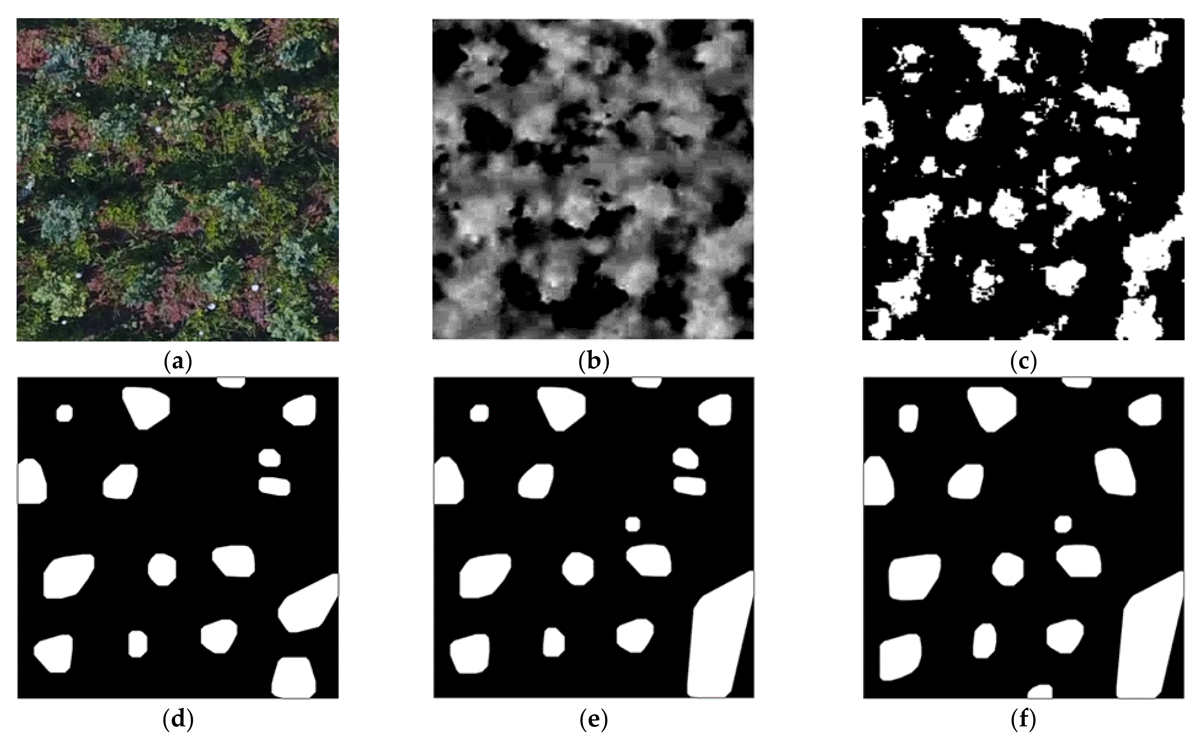 Remotesensing 13 04122 g005a