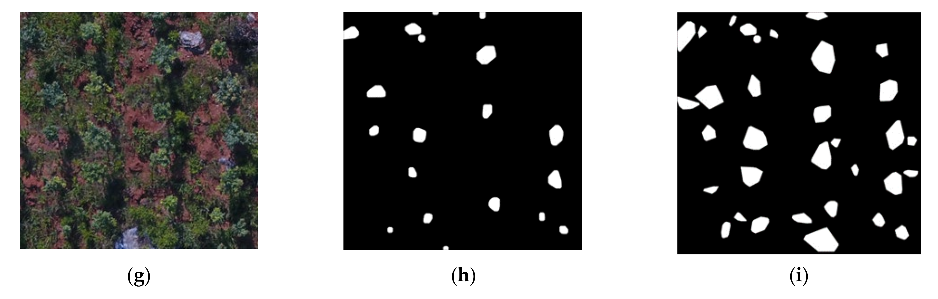 Remotesensing 13 04122 g006b