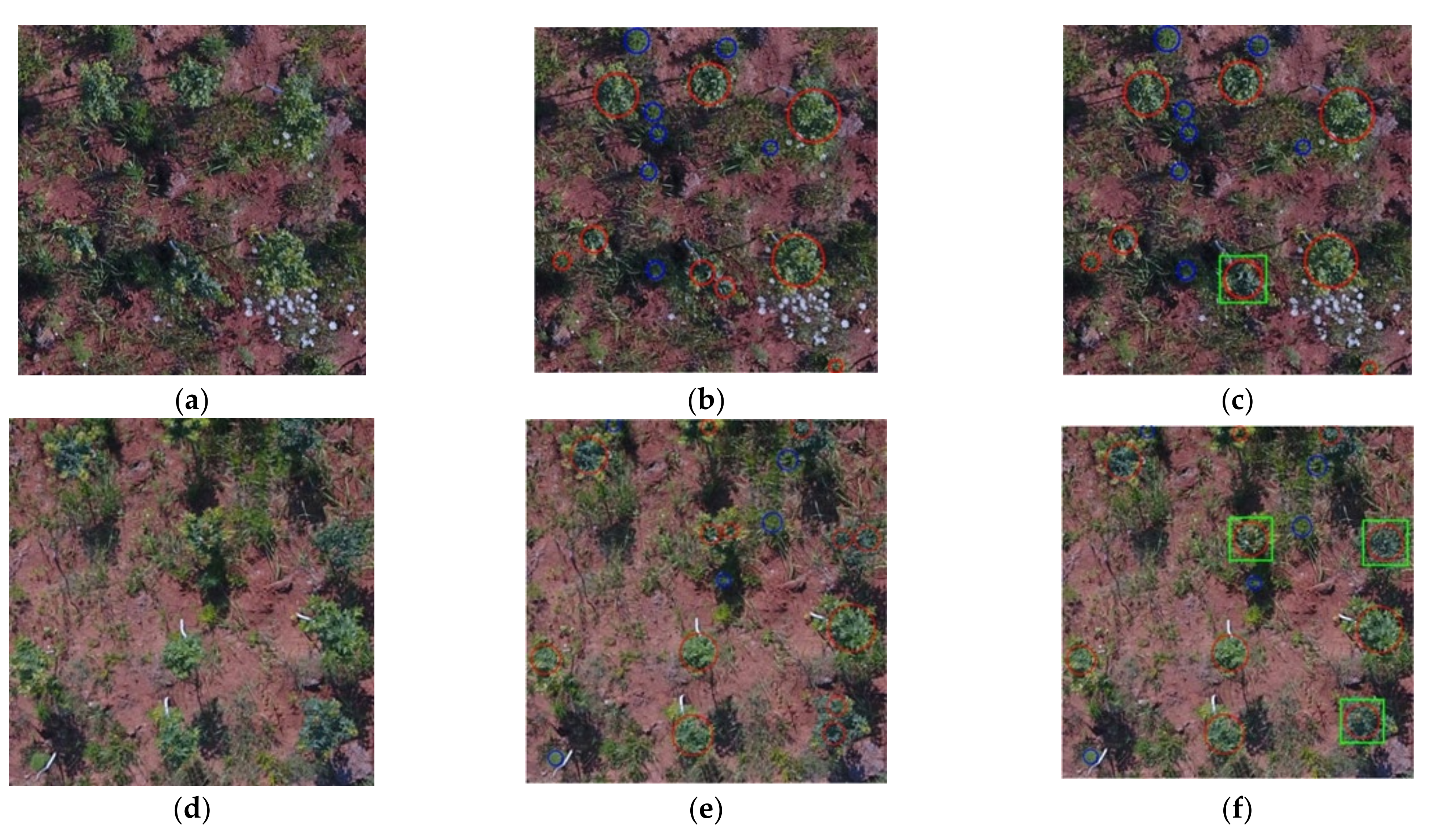 Remotesensing 13 04122 g007a