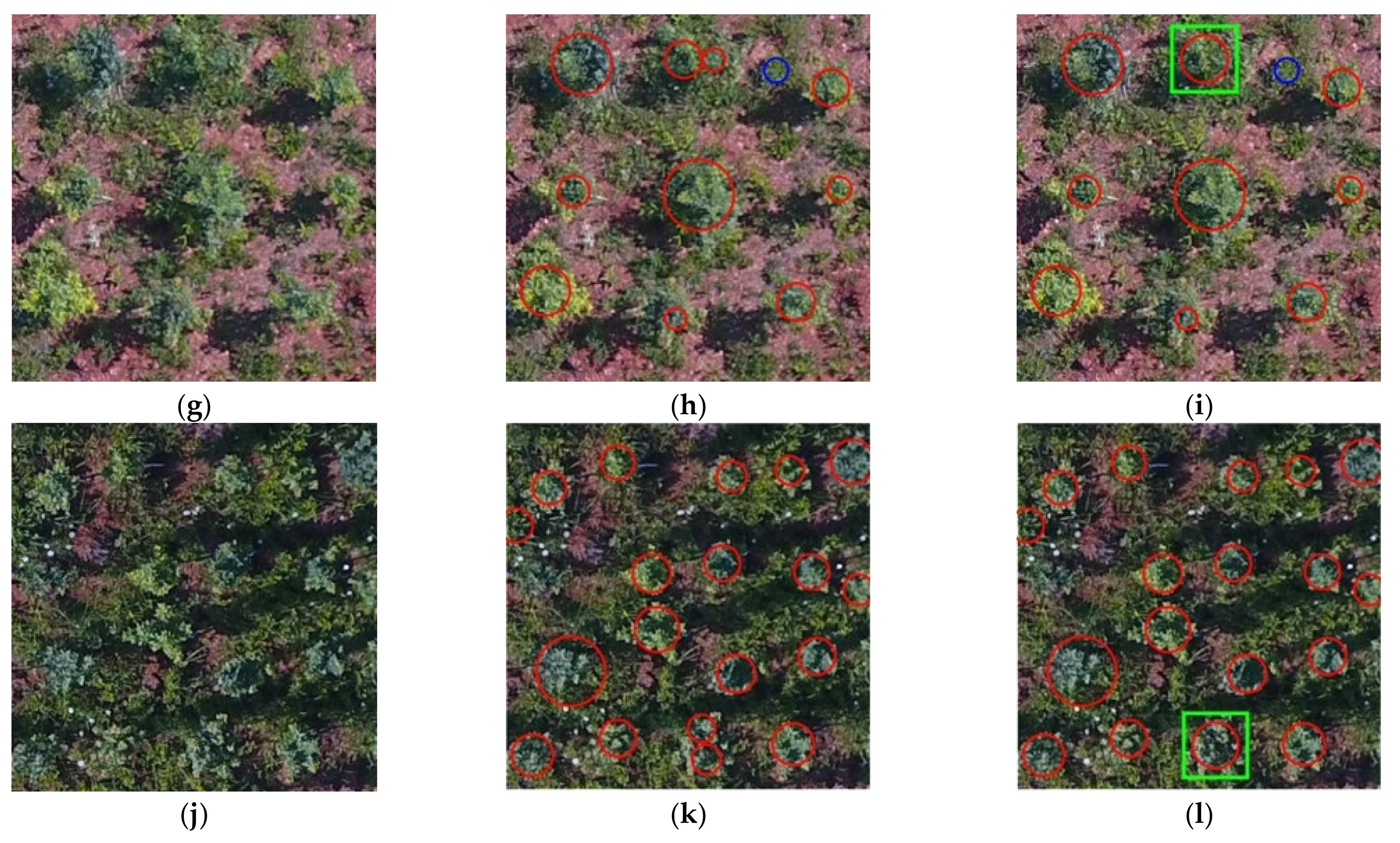 Remotesensing 13 04122 g007b