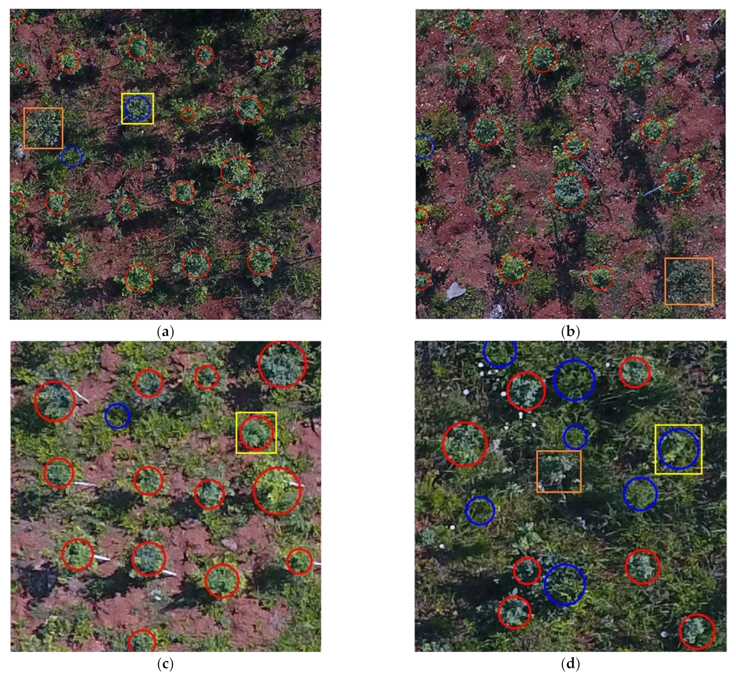 Remotesensing 13 04122 g009