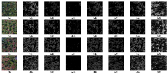 Remotesensing 13 04122 g0a1 550