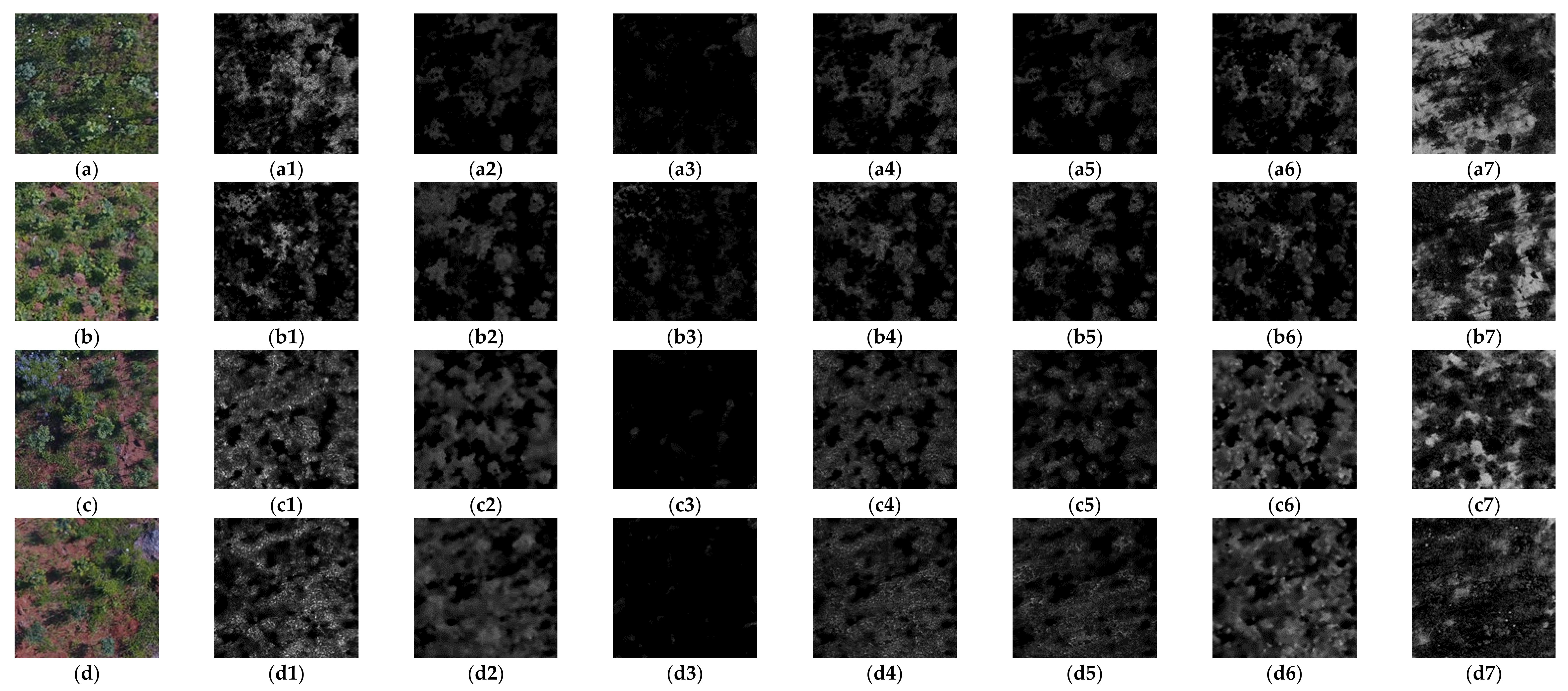 Remotesensing 13 04122 g0a1